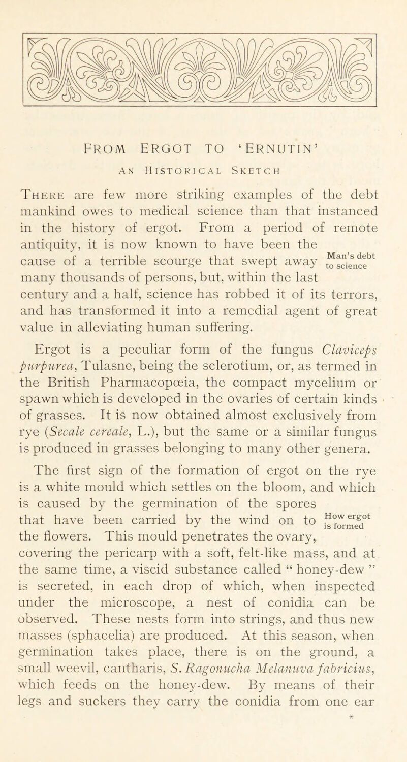 An Historical Sketch There are few more striking examples of the debt mankind owes to medical science than that instanced in the history of ergot. From a period of remote antiquity, it is now known to have been the cause of a terrible scourge that swept away toscience'^*^ many thousands of persons, but, within the last century and a half, science has robbed it of its terrors, and has transformed it into a remedial agent of great value in alleviating human suffering. Ergot is a peculiar form of the fungus Claviceps purpurea^ Tulasne, being the sclerotium, or, as termed in the British Pharmacopoeia, the compact mycelium or spawn which is developed in the ovaries of certain kinds of grasses. It is now obtained almost exclusively from rye {Secale cereale, L.), but the same or a similar fungus is produced in grasses belonging to many other genera. The first sign of the formation of ergot on the rye is a white mould which settles on the bloom, and which is caused by the germination of the spores that have been carried by the wind on to the flowers. This mould penetrates the ovary, covering the pericarp with a soft, felt-like mass, and at the same time, a viscid substance called “ honey-dew ” is secreted, in each drop of which, when inspected under the microscope, a nest of conidia can be observed. These nests form into strings, and thus new masses (sphacelia) are produced. At this season, when germination takes place, there is on the ground, a small weevil, cantharis, S. Ragonucha Melaniiva fabricius, which feeds on the honey-dew. By means of their legs and suckers they carry the conidia from one ear