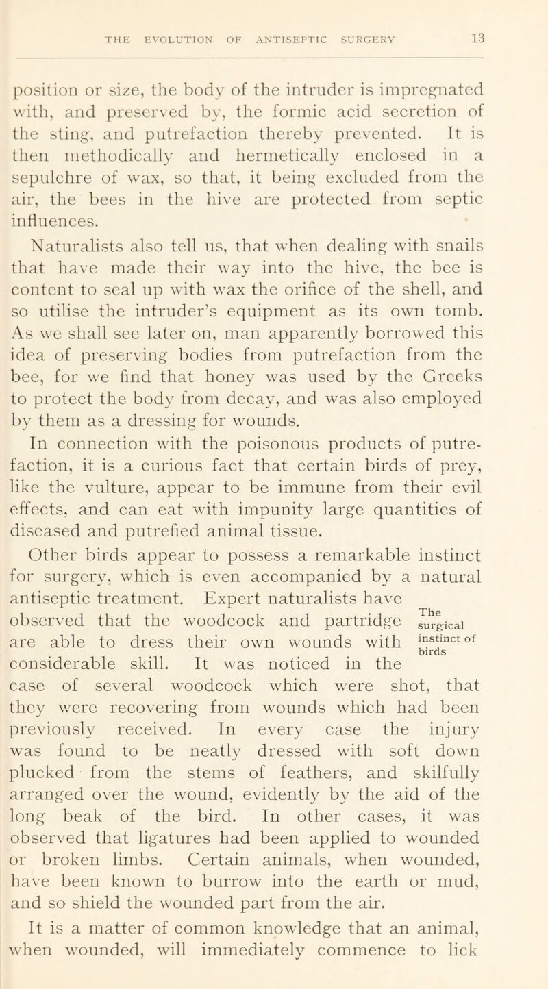position or size, the body of the intruder is impreg-nated with, and preserved by, the formic acid secretion of the sting, and putrefaction thereby prevented. It is then methodically and hermetically enclosed in a sepulchre of wax, so that, it being excluded from the air, the bees in the hive are protected from septic influences. Naturalists also tell us, that when dealing with snails that have made their way into the hive, the bee is content to seal up with wax the orifice of the shell, and so utilise the intruder’s equipment as its own tomb. As we shall see later on, man apparently borrowed this idea of preserving bodies from putrefaction from the bee, for we find that honey was used by the Greeks to protect the body from decay, and was also employed by them as a dressing for wounds. In connection with the poisonous products of putre- faction, it is a curious fact that certain birds of prey, like the vulture, appear to be immune from their evil effects, and can eat with impunity large quantities of diseased and putrefied animal tissue. Other birds appear to possess a remarkable instinct for surgery, which is even accompanied by a natural antiseptic treatment. Expert naturalists have observed that the woodcock and partridge ^rgicai are able to dress their own wounds with ^stinctof birds considerable skill. It was noticed in the case of several woodcock which were shot, that they were recovering from wounds which had been previously received. In every case the injury was found to be neatly dressed with soft down plucked from the stems of feathers, and skilfully arranged over the wound, evidently by the aid of the long beak of the bird. In other cases, it was observed that ligatures had been applied to wounded or broken limbs. Certain animals, when wounded, have been known to burrow into the earth or mud, and so shield the wounded part from the air. It is a matter of common knowledge that an animal, when wounded, will immediately commence to lick