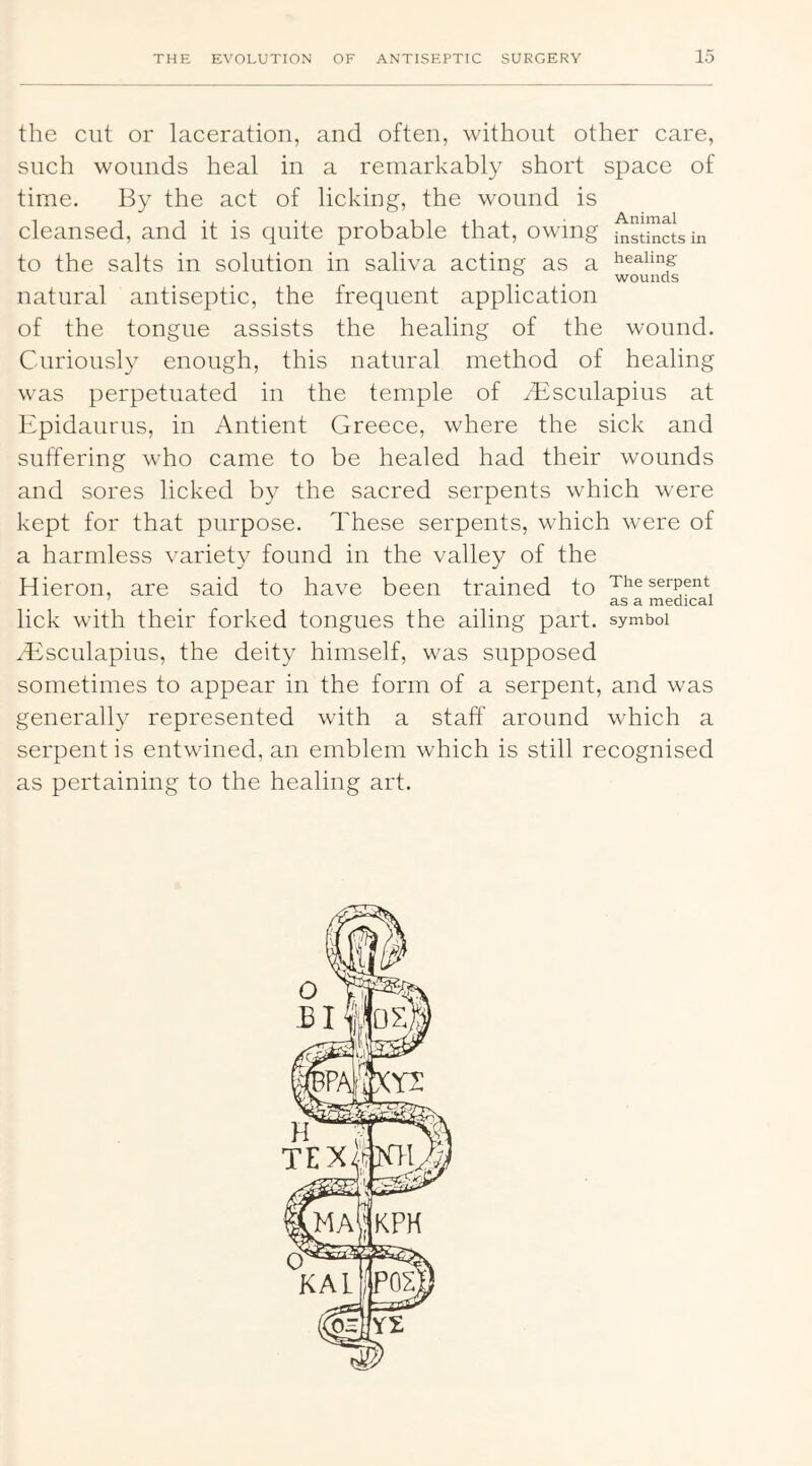 the cut or laceration, and often, without other care, such wounds heal in a remarkably short space of time. By the act of licking, the wound is cleansed, and it is quite probable that, owing i^sti^ctsin to the salts in solution in saliva acting as a dealing ^ ^ wounds natural antiseptic, the frequent application of the tongue assists the healing of the wound. Curiously enough, this natural method of healing was perpetuated in the temple of vEsculapius at Epidaurus, in Antient Greece, where the sick and suffering who came to be healed had their wounds and sores licked by the sacred serpents which were kept for that purpose. These serpents, which were of a harmless variety found in the valley of the Hieron, are said to have been trained to The serpent ^ ^ ^ ^ ^ as a medical lick with their forked tongues the ailing part, symbol ^Esculapius, the deity himself, was supposed sometimes to appear in the form of a serpent, and was generally represented with a staff around which a serpent is entwined, an emblem which is still recognised as pertaining to the healing art.