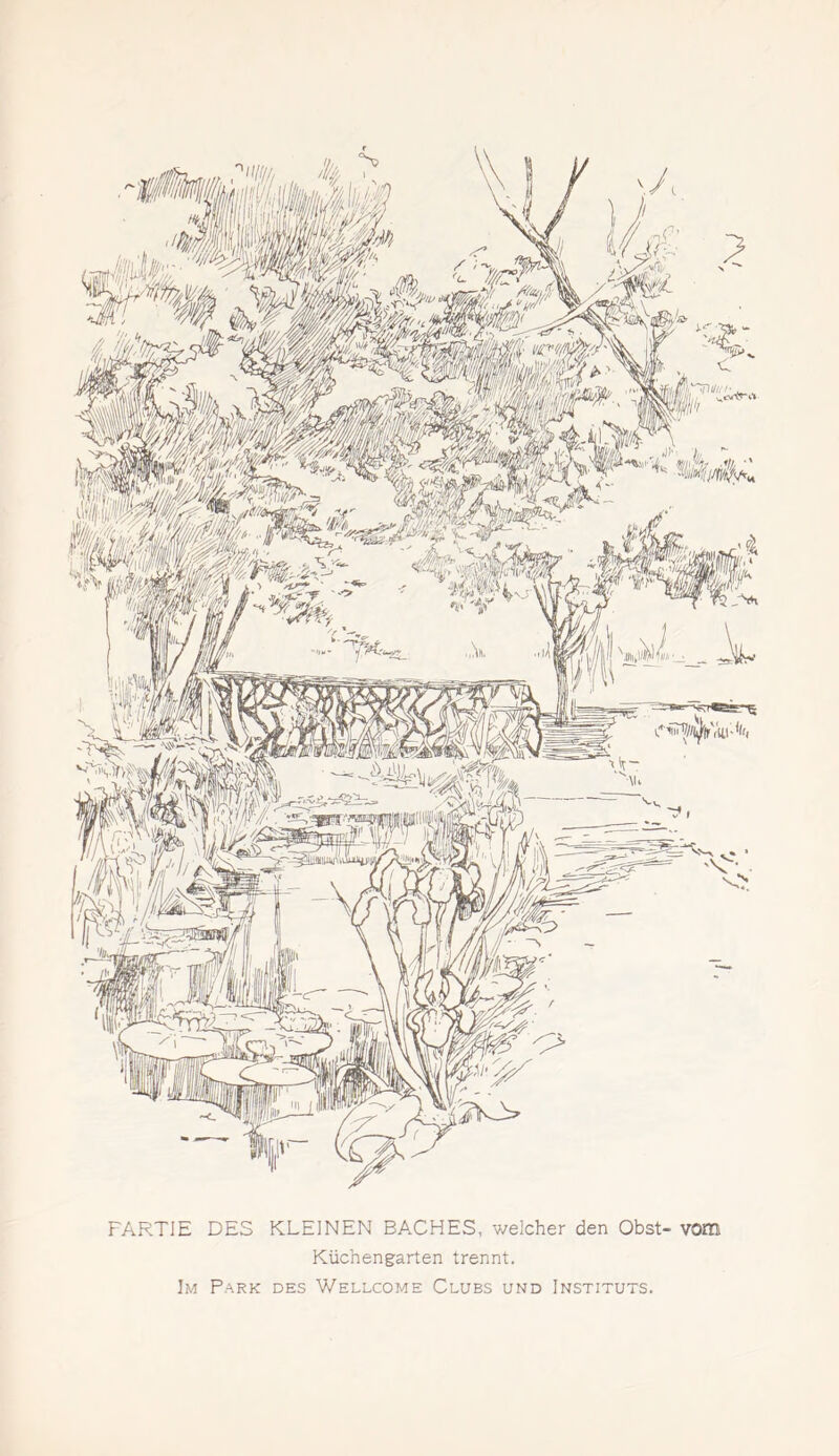 PARTIE DES KLEINEN BACHES, weicher den Obst- vom Küchengarten trennt.