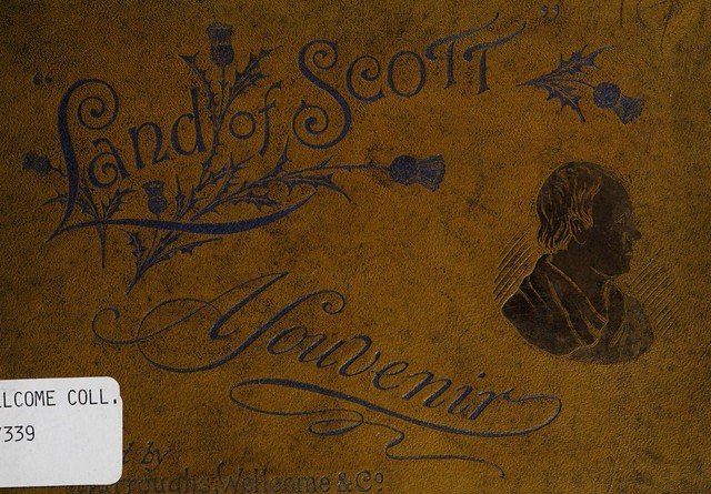 No text description is available for this image