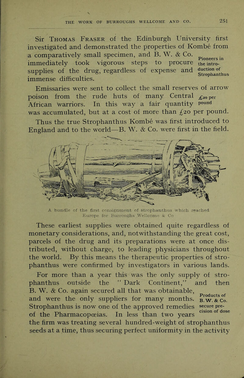 Sir Thomas Fraser of the Edinburgh University first investigated and demonstrated the properties of Kombe from a comparatively small specimen, and B. W. & Co. ^ . . Pioneers in immediately took vigorous steps to procure the intro- supplies of the drug, regardless of expense and immense difficulties. Emissaries were sent to collect the small reserves of arrow poison from the rude huts of many Central £20 per African warriors. In this way a fair quantity was accumulated, but at a cost of more than £2.0 per pound. Thus the true Strophanthus Kombe was first introduced to England and to the world—B. W. & Co. were first in the field. A bundle of the first consignment of strophanthus which reached Europe for Buri’oughs Wellcome & Co These earliest supplies were obtained quite regardless of monetary considerations, and, notwithstanding the great cost, parcels of the drug and its preparations were at once dis- tributed, without charge, to leading physicians throughout the world. By this means the therapeutic properties of stro- phanthus were confirmed by investigators in various lands. For more than a year this was the only supply of stro- phanthus outside the  Dark Continent,” and then B. W. & Co. again secured all that was obtainable, and were the only suppliers for many months, b.w. &Co. Strophanthus is now one of the approved remedies secure pre- of the Pharmacopoeias. In less than two years ° the firm was treating several hundred-weight of strophanthus seeds at a time, thus securing perfect uniformity in the activity