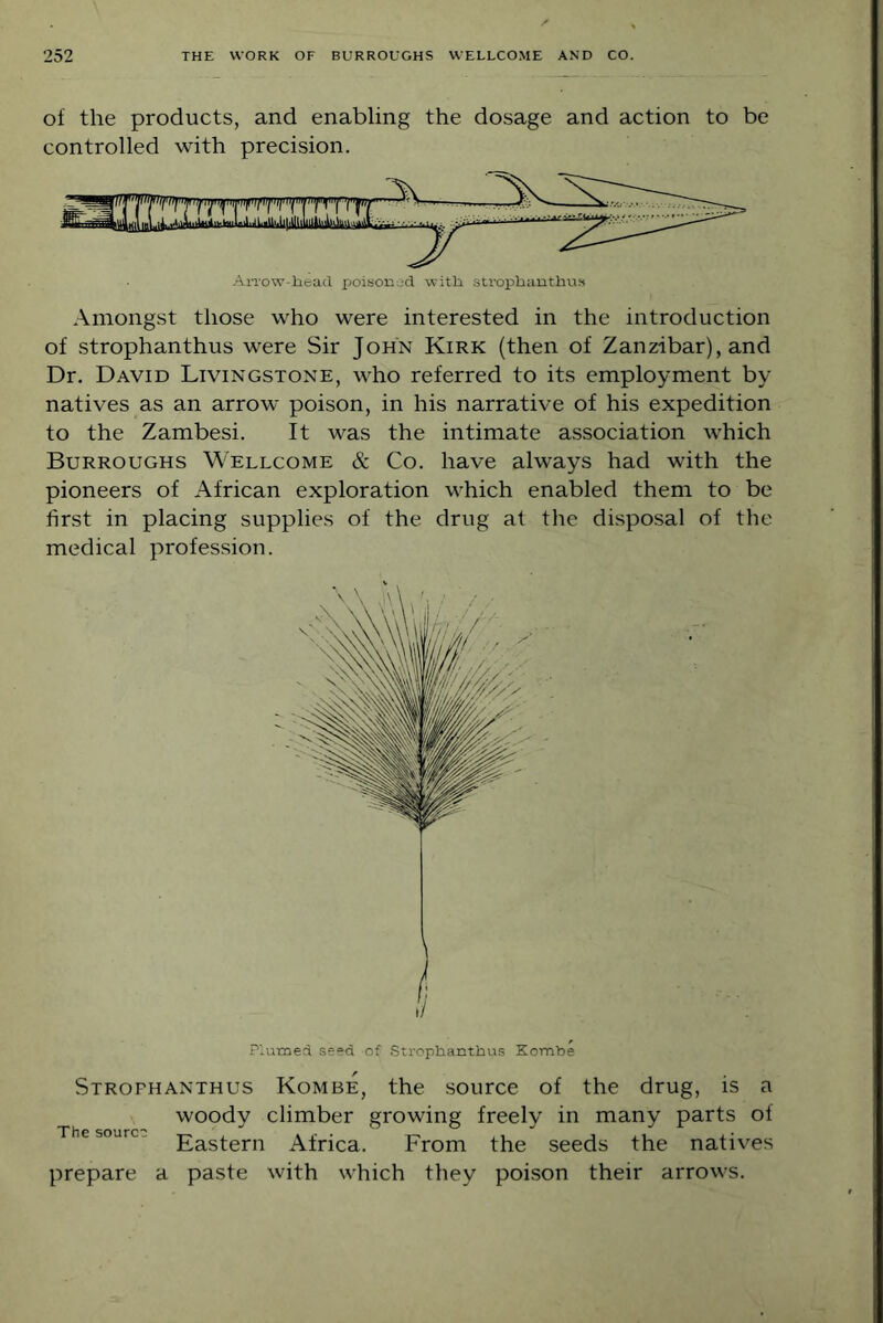 of the products, and enabling the dosage and action to be controlled with precision. Arrow-head poisoned with strophanthus Amongst those who were interested in the introduction of strophanthus were Sir John Kirk (then of Zanzibar), and Dr. David Livingstone, who referred to its employment by- natives as an arrow poison, in his narrative of his expedition to the Zambesi. It was the intimate association which Burroughs Wellcome & Co. have always had with the pioneers of African exploration which enabled them to be first in placing supplies of the drug at the disposal of the medical profession. Plumed seed of Strophanthus Kombe Strophanthus Kombe, the source of the drug, is a woody climber growing freely in many parts of The source i- .i j xi! x- Eastern Africa. From the seeds the natives prepare a paste with which they poison their arrows.