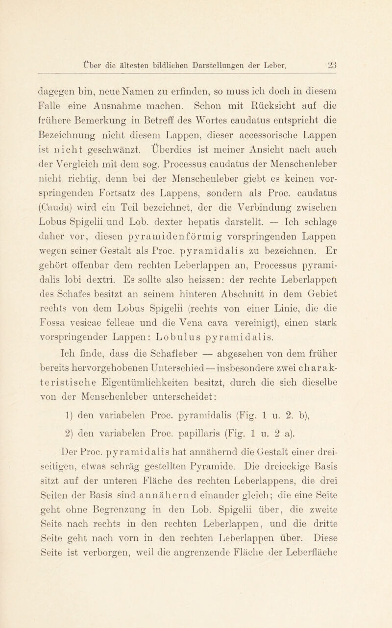 dagegen bin, neue Namen zu erfinden, so muss ich doch in diesem P'alle eine Ausnahme machen. Schon mit Rücksicht auf die frühere Bemerkung in Betreff des Wortes caudatus entspricht die Bezeichnung nicht diesem Lappen, dieser accessorische Lappen ist nicht geschwänzt. Überdies ist meiner Ansicht nach auch der Vergleich mit dem sog. Processus caudatus der Menschenleber nicht richtig, denn bei der Menschenleber giebt es keinen vor- springenden Fortsatz des Lappens, sondern als Proc. caudatus (Cauda) wird ein Teil bezeichnet, der die Verbindung zwischen Lobus Spigelii und Lob. dexter hepatis darstellt. — Ich schlage daher vor, diesen pyramidenförmig vorspringenden Lappen wegen seiner Gestalt als Proc. pyramidalis zu bezeichnen. Er gehört offenbar dem rechten Leberlappen an, Processus pyrami- dalis lobi dextri. Es sollte also heissen: der rechte Leberlappen des Schafes besitzt an seinem hinteren Abschnitt in dem Gebiet rechts von dem Lobus Spigelii (rechts von einer Linie, die die Fossa vesicae felleae und die Vena cava vereinigt), einen stark vorspringender Lappen: Lobulus pyramidalis. Ich finde, dass die Schafleber — abgesehen von dem früher bereits hervorgehobenen Unterschied — insbesondere zwei charak- teristische Eigentümlichkeiten besitzt, durch die sich dieselbe von der Menschenleber unterscheidet: 1) den variabelen Proc. pyramidalis (Fig. 1 u. 2. b), 2) den variabelen Proc. papillaris (Fig. I u. 2 a). Der Proc. pyramidalis hat annähernd die Gestalt einer drei- seitigen, etwas schräg gestellten Pyramide. Die dreieckige Basis sitzt auf der unteren Fläche des rechten Leberlappens, die drei Seiten der Basis sind annähernd einander gleich; die eine Seite geht ohne Begrenzung in den Lob. Spigelii über, die zweite Seite nach rechts in den rechten Leberlappen, und die dritte Seite geht nach vorn in den rechten Leberlappen über. Diese Seite ist verborgen, weil die angrenzende Fläche der Leberfiäche