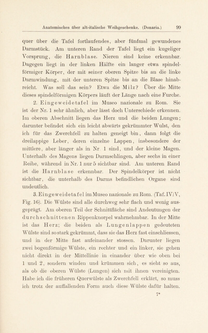 quer über die Tafel fortlaufendes, aber fünfmal gewundenes Darmstück. Am unteren Rand der Tafel liegt ein kugeliger Vorsprung, die Harnblase. Nieren sind keine erkennbar. Dagegen liegt in der linken Hälfte ein langer etwa spindel- förmiger Körper, der mit seiner oberen Spitze bis an die linke Darm Windung, mit der unteren Spitze bis an die Blase hinab- reicht. Was soll das sein? Etwa die Milz? Über die Mitte dieses spindelförmigen Körpers läuft der Länge nach eine Furche. 2. Eingeweidetafel im Museo nazionale zu Rom. Sie ist der Nr. 1 sehr ähnlich, aber lässt doch Unterschiede erkennen. Im oberen Abschnitt liegen das Herz und die beiden Lungen; darunter befindet sich ein leicht abwärts gekrümmter Wulst, den ich für das Zwerchfell zu halten geneigt bin, dann folgt die dreilappige Leber, deren einzelne Lappen, insbesondere der mittlere, aber länger als in Nr 1 sind, und der kleine Magen. LTnterhalb des Magens liegen Darmschlingen, aber sechs in einer Reihe, während in Nr. 1 nur 5 sichtbar sind. Am unteren Rand ist die Harnblase erkennbar. Der Spindelkörper ist nicht sichtbar, die unterhalb des Darms befindlichen Organe sind undeutlich. 3. Eingeweidetafel im Museo nazionale zu Rom. (Taf. IV/V, Fig, 16). Die Wülste sind alle durchweg sehr flach und wenig aus- geprägt. Am oberen Teil der Schnittfläche sind Andeutungen der durchschnittenen Rippenknorpel wahrnehmbar. In der Mitte ist das Herz; die beiden als Lungenlappen gedeuteten Wülste sind so stark gekrümmt, dass sie das Herz fast einschliessen, und in der Mitte fast aufeinander stossen. Darunter liegen zwei bogenförmige Wülste, ein rechter und ein linker, sie gehen nicht direkt in der Mittellinie in einander über wie oben bei 1 und 2, sondern winden und krümmen sich, es sieht so aus, als ob die oberen Wülste (Lungen) sich mit ihnen vereinigten. Habe ich die früheren Querwülste als Zwerchfell erklärt, so muss ich trotz der auffallenden Form auch diese Wülste dafür halten.