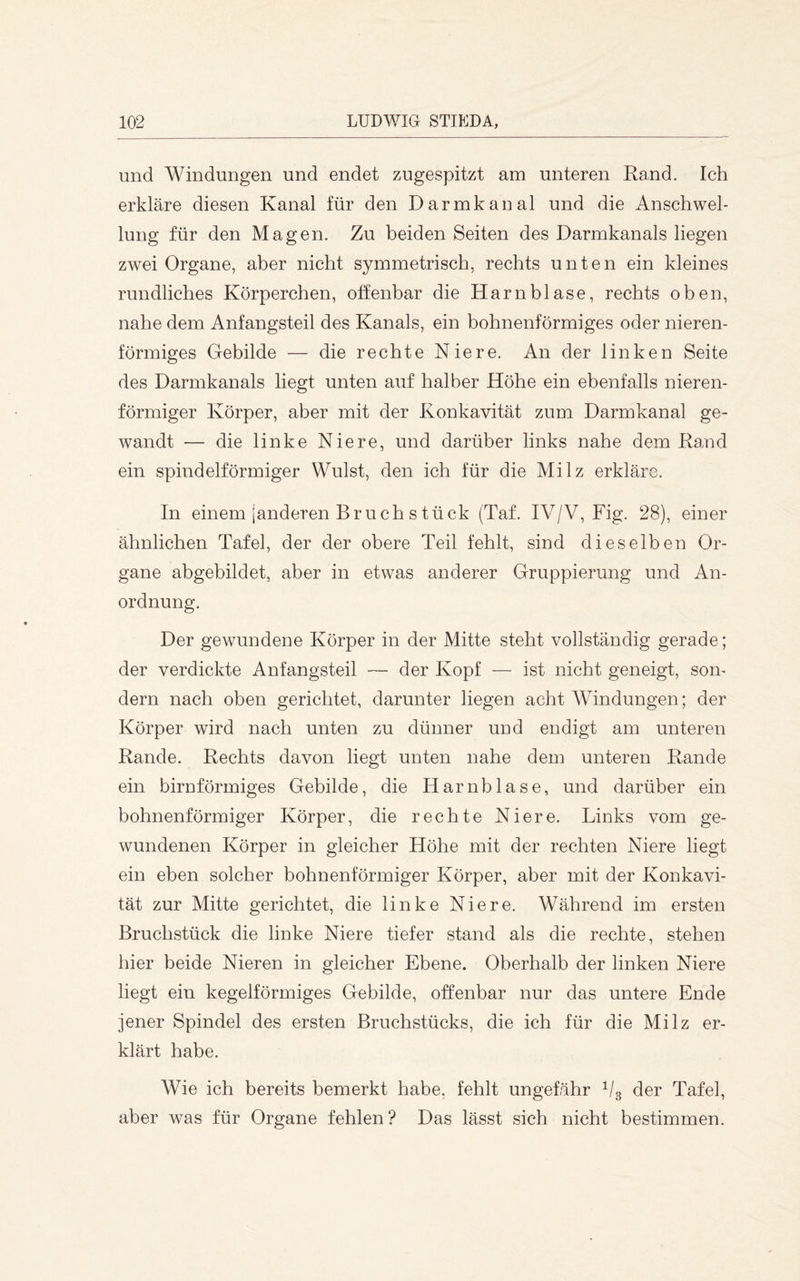 und Windungen und endet zugespitzt am unteren Rand. Ich erkläre diesen Kanal für den Darmkaual und die Anschwel- lung für den Magen. Zu beiden Seiten des Darmkanals liegen zwei Organe, aber nicht symmetrisch, rechts unten ein kleines rundliches Körperchen, olfenbar die Harnblase, rechts oben, nahe dem Anfangsteil des Kanals, ein bohnenförmiges oder nieren- förmiges Gebilde — die rechte Niere. An der linken Seite des Darmkanals liegt unten auf halber Höhe ein ebenfalls nieren- förmiger Körper, aber mit der Konkavität zum Darmkanal ge- wandt — die linke Niere, und darüber links nahe dem Rand ein spindelförmiger Wulst, den ich für die Milz erkläre. In einem [anderen Bruch s tück (Taf. IV/V, Fig. 28), einer ähnlichen Tafel, der der obere Teil fehlt, sind dieselben Or- gane abgebildet, aber in etwas anderer Gruppierung und An- ordnung. Der gewundene Körper in der Mitte steht vollständig gerade; der verdickte Anfangsteil — der Kopf — ist nicht geneigt, son- dern nach oben gerichtet, darunter liegen acht Windungen; der Körper wird nach unten zu dünner und endigt am unteren Rande. Rechts davon liegt unten nahe dem unteren Rande ein bimförmiges Gebilde, die Harnblase, und darüber ein bohnenförmiger Körper, die rechte Niere. Links vom ge- wundenen Körper in gleicher Höhe mit der rechten Niere liegt ein eben solcher bohnenförmiger Körper, aber mit der Konkavi- tät zur Mitte gerichtet, die linke Niere. Während im ersten Bruchstück die linke Niere tiefer stand als die rechte, stehen hier beide Nieren in gleicher Ebene. Oberhalb der linken Niere liegt ein kegelförmiges Gebilde, offenbar nur das untere Ende jener Spindel des ersten Bruchstücks, die ich für die Milz er- klärt habe. Wie ich bereits bemerkt habe, fehlt ungefähr ^/g der Tafel, aber was für Organe fehlen? Das lässt sich nicht bestimmen.