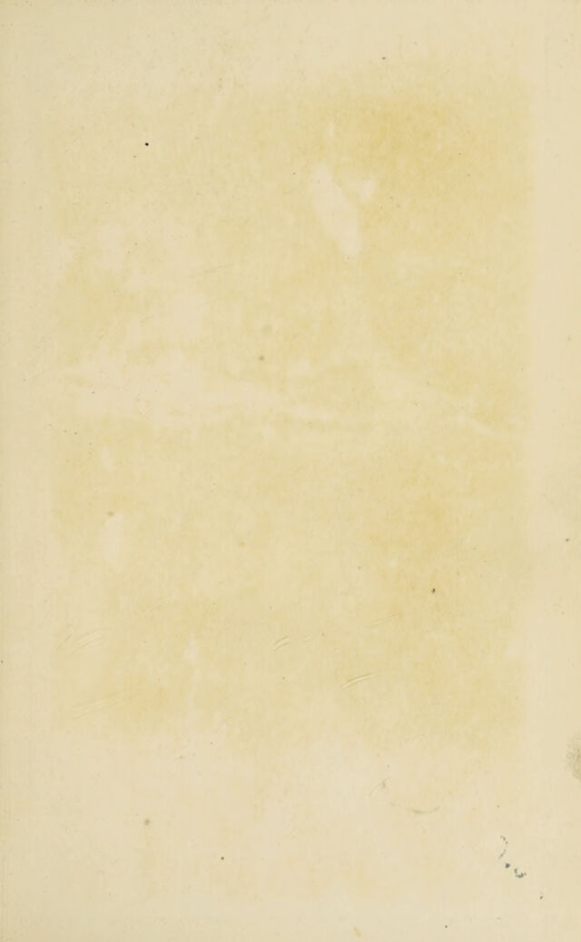 digitised image 3