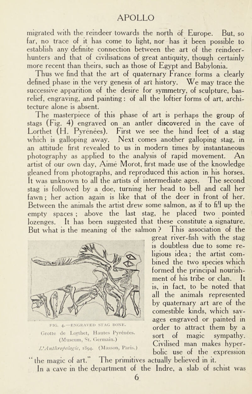 migrated with the reindeer towards the north of Europe. But, so far, no trace of it has come to light, nor has it been possible to establish any definite connection between the art of the reindeer- hunters and that of civilisations of great antiquity, though certainly more recent than theirs, such as those of Egypt and Babylonia. Thus we find that the art of quaternary France forms a clearly defined phase in the very genesis of art history. We may trace the successive apparition of the desire for symmetry, of sculpture, bas- relief, engraving, and painting: of all the loftier forms of art, archi- tecture alone is absent. The masterpiece of this phase of art is perhaps the group of stags (Fig. 4) engraved on an antler discovered m the cave of Lorthet (H. Pyrenees). First we see the hind feet of a stag which IS galloping away. Next comes another galloping stag, in an attitude first revealed to us in modern times by instantaneous photography as applied to the analysis of rapid movement. An artist of our own day, Aime Morot, first made use of the knowledge gleaned from photographs, and reproduced this action m his horses. It was unknown to all the artists of intermediate ages. The second stag is followed by a doe, turning her head to bell and call her fawn; her action again is like that of the deer In front of her. Between the animals the artist drew some salmon, as if to fi'l up the empty spaces ; above the last stag, he placed two pointed lozenges. It has been suggested that these constitute a signature. But what is the meaning of the salmon ? This association of the great river-fish with the stag IS doubtless due to some re- ligious idea; the artist com- bined the two species which formed the principal nourish- ment of his tribe or clan. It Is, in fact, to be noted that all the animals represented by quaternary art are of the comestible kinds, which sav- ages engraved or painted in order to attract them by a sort of magic sympathy. Civilised man makes hyper- bolic use of the expression “ the magic of art.” The primitives actually believed in it. In a cave in the department of the Indre, a slab of schist was i'k;. 4.—kn(;ka\'ici) si ac; honk. (irotte de Lorlhet, Hautes I'yr^u^es. (Museum, ‘^1. (lermain.) L'Anthropologic, 1894. (Masson, Paris.)
