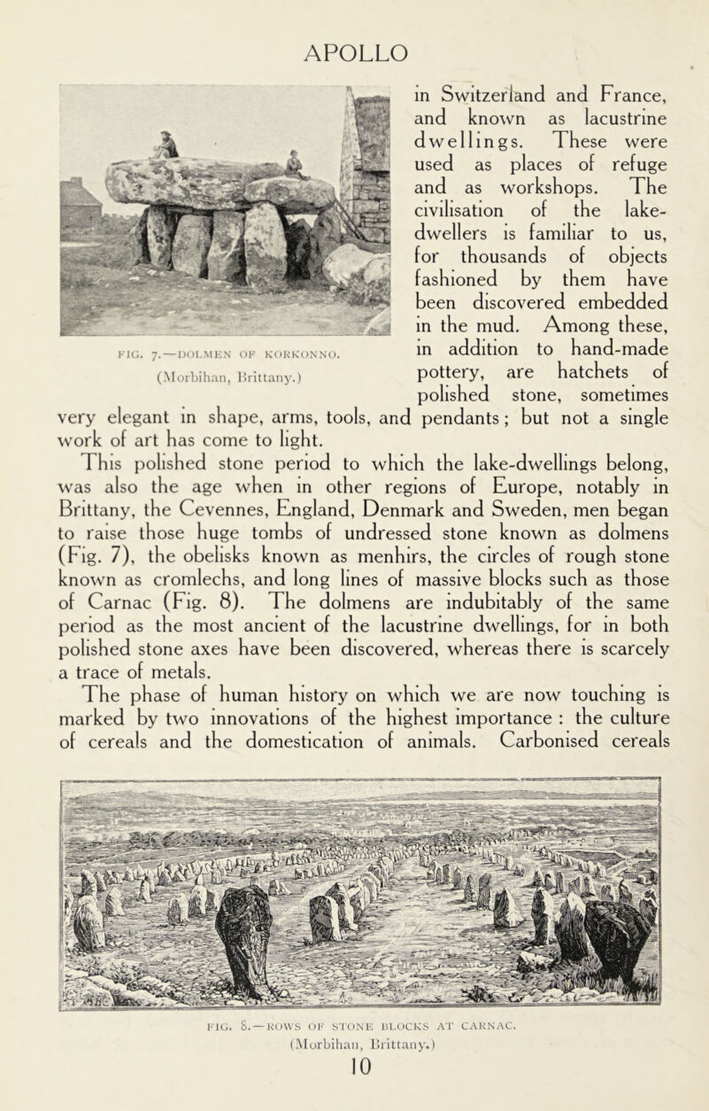 in Switzerland and France, and kno^vn as lacustrine dwellings. These were used as places of refuge and as workshops. The civilisation of the lake- dwellers IS familiar to us, for thousands of objects fashioned by them have been discovered embedded in the mud. Among these, in addition to hand-made pottery, are hatchets of polished stone, sometimes very elegant m shape, arms, tools, and pendants; but not a single ^vork of art has come to light. Th IS |)olished stone period to which the lake-dwellings belong, was also the age when m other regions of Europe, notably in Brittany, the Cevennes, England, Denmark and Sweden, men began to raise those huge tombs of undressed stone known as dolmens (Fig. 7), the obelisks known as menhirs, the circles of rough stone known as cromlechs, and long lines of massive blocks such as those of Carnac (Fig. 8). The dolmens are indubitably of the same period as the most ancient of the lacustrine dwellings, for in both polished stone axes have been discovered, whereas there is scarcely a trace of metals. The phase of human history on which we are now touching is marked by two innovations of the highest importance : the culture of cereals and the domestication of animals. Carbonised cereals 7. — \nn.MKS OK K<»KKoNNO. (Morl)ihaii, ISrittany.)