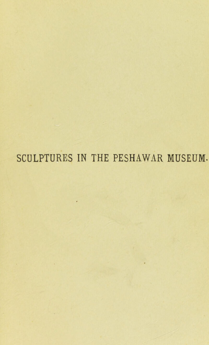 SCULPTURES IN THE PESHAWAR MUSEUM.