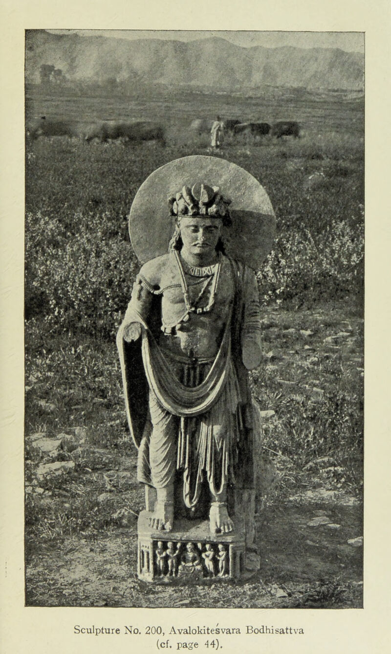 Sculpture No. 200, Avalokitesvara Bodhisattva (cf. page 44).