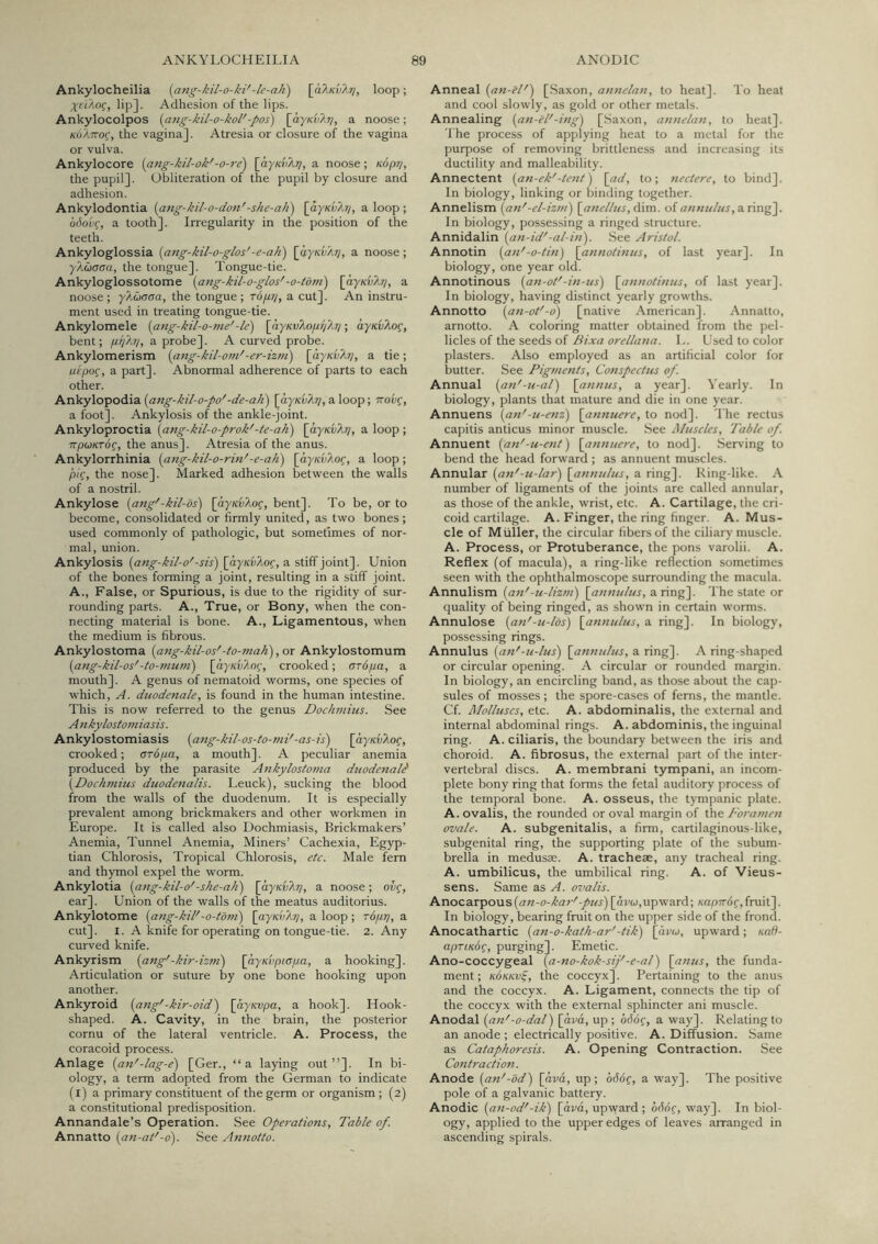 Ankylocheilia {ang-kil-o-ki'-le-aJi) \_aXK.!i?.7j, loop; XtiAog, lip]. Adhesion of the lips. Ankylocolpos {ang-kil-o-kol'-pos) [ay/cuA)?, a noose; /foATrof, the vagina]. Atresia or closure of the vagina or vulva. Ankylocore {ang-kil-ok'-o-re) [dy/cuA;?, a noose; Kopr;, the pupil]. Obliteration of the pupil by closure and adhesion. Ankylodontia [ang-kil-o-don'-she-ali) [dy/cfA??, a loop ; bSovg, a tooth]. Irregularity in the position of the teeth. Ankyloglossia (ang-kil-o-glos'-e-aJi) [dy/cf a?/, a noose ; yAwcrcra, the tongue]. Tongue-tie. Ankyloglossotome [ang-kil-o-glos'-o-td?n) [dy/cuAy, a noose ; yAiiaaa, the tongue ; Topji, a cut]. An instru- ment used in treating tongue-tie. Ankylomele [ang-kil-o-me'-le) \hyKvkofiliXr}; ayKvXog, bent; pifKii, a probe]. A curved probe. Ankylomerism [ang-kil-om'-er-izni) [dy/cIA^, a tie; uepo^, a part]. Abnormal adherence of parts to each other. Ankylopodia [ang-kil-o-po'-de-aJi) [dy/cuA??, a loop; Trolf, a foot]. Ankylosis of the ankle-joint. Ankyloproctia [ang-kil-o-prok'-te-ah) [ayKvXri, a loop ; TTpuKTog, the anus]. Atresia of the anus. Ankylorrhinia [ang-kil-o-rin'-e-ali) [dy/cuAof, a loop; p/f, the nose]. Marked adhesion between the walls of a nostril. Ankylose [ang'-kil-ds) [dy/cuAof, bent]. To be, or to become, consolidated or firmly united, as two bones; used commonly of pathologic, but sometimes of nor- mal, union. Ankylosis [ang-kil-o'-sis') [ayKvXoc, a stiff Union of the bones forming a joint, resulting in a stiff joint. A., False, or Spurious, is due to the rigidity of sur- rounding parts. A., True, or Bony, when the con- necting material is bone. A., Ligamentous, when the medium is fibrous. Ankylostoma [ang-kil-os'-to-mah), or Ankylostomum [ang-kil-os'-lo-mum) [dy«f)Aof, crooked; arSpa, a mouth]. A genus of nematoid worms, one species of which, A. duodenale, is found in the human intestine. This is now referred to the genus Dochmius. See A nkylostomiasis. Ankylostomiasis [ang-kil-os-to-mi'-as-is) [dy/cuAof, crooked; aropa, a mouth]. A peculiar anemia produced by the parasite Ajikylostoma duodenal^ [Dochmius duodenalis. Leuck), sucking the blood from the walls of the duodenum. It is especially prevalent among brickmakers and other workmen in Europe. It is called also Dochmiasis, Brickmakers’ Anemia, Tunnel Anemia, Miners’ Cachexia, Egyp- tian Chlorosis, Tropical Chlorosis, etc. Male fern and thymol expel the worm. Ankylotia [ang-kil-o'-she-ah') \ayK.vkrj, a noose; ouf, ear]. Union of the walls of the meatus auditorius. Ankylotome [ang-kil'-o-tom) [ayuvXrj, a loop ; ropy, a cut]. I. A knife for operating on tongue-tie. 2. Any curved knife. Ankyrism [ang'-kir-hni) [ayKiiptcpa, a hooking]. Articulation or suture by one bone hooking upon another. Ankyroid [ang'-kir-oid') [ayKvpa, a hook]. Hook- shaped. A. Cavity, in the brain, the posterior cornu of the lateral ventricle. A. Process, the coracoid process. Anlage [an'-lag-e) [Ger., “a laying out”]. In bi- ology, a term adopted from the German to indicate (l) a primary constituent of the germ or organism; (2) a constitutional predisposition. Annandale’s Operation. See Operations, Table of. Annatto [afi-at'-o). See Annotto. Anneal [an-el') [Saxon, amielan, to heat]. To heat and cool slowly, as gold or other metals. Annealing [an-el'-ing) [.Saxon, annelan, to heat]. The process of applying heat to a metal for tlie purpose of removing brittleness and increasing its ductility and malleability. Annectent [an-ek'-tent) {ad, to; neclere, to bind]. In biology, linking or binding together. Annelism [an'-el-izm) {anelliis, dim. of a/m ulus, a ring]. In biology, possessing a ringed structure. Annidalin [an-id'-al-i/i). See Aristol. Annotin [an'-o-tin) {a/moti/ius, of last year]. In biology, one year old. Annotinous [a/i-ot'-i/t-us) {a/t/toli/ius, of last year]. In biology, having distinct yearly growths. Annotto [a/i-ot'-o) [native American]. Annatto, arnotto. A coloring matter obtained from the pel- licles of the seeds of Bixa orella/ia. L. Used to color plasters. Also employed as an artificial color for butter. See Pig//ients, Conspectus of. Annual [a/t'-u-al) [annus, a year]. Yearly. In biology, plants that mature and die in one year. Annuens [an'-u-enz) [a/tnuere, to nod]. The rectus capitis anticus minor muscle. See Muscles, Table of. Annuent [a/i'-u-ent) [a/muere, to nod]. Serving to bend the head forward ; as annuent muscles. Annular [a/i'-u-lar) [a/inulus, a ring]. Ring-like. A number of ligaments of the joints are called annular, as those of the ankle, wrist, etc. A. Cartilage, the cri- coid cartilage. A. Finger, the ring finger. A. Mus- cle of Muller, the circular fibers of the ciliary muscle. A. Process, or Protuberance, the pons varolii. A. Reflex (of macula), a ring-like reflection sometimes seen with the ophthalmoscope surrounding the macula. Annulism [an'-u-liz/zi) [an/iulus, axingl. The state or quality of being ringed, as shown in certain worms. Annulose [a/t'-u-los) [a/tnulus, a ring]. In biology, possessing rings. Annulus [an'-u-lus) [a/tnulus, a ring[\. A ring-shaped or circular opening. A circular or rounded margin. In biology, an encircling band, as those about the cap- sules of mosses; the spore-cases of ferns, the mantle. Cf. Molluscs, etc. A. abdominalis, the external and internal abdominal rings. A. abdominis, the inguinal ring. A. ciliaris, the boundary between the iris and choroid. A. fibrosus, the external part of the inter- vertebral discs. A. membrani tympani, an incom- plete bony ring that forms the fetal auditory process of the temporal bone. A. osseus, the tympanic plate. A. ovalis, the rounded or oval margin of the Forame/i ovale. A. subgenitalis, a firm, cartilaginous-like, subgenital ring, the supporting plate of the subum- brella in medusae. A. tracheae, any tracheal ring. A. umbilicus, the umbilical ring. A. of Vieus- sens. Same as A. ovalis. PLTiQcaT'po\is[a}t-o-ka7-'-pus) [di’t;,upward; xnpTnif, fruit]. In biology, bearing fruit on the upper side of the frond. Anocathartic [an-o-kath-ar'-tik) [dwj, upward; Kati- apTLKdq, purging]. Emetic. Ano-coccygeal [a-no-kok-sif -e-al) [anus, the funda- ment; KOKKvf the coccyx]. Pertaining to the anus and the coccyx. A. Ligament, connects the tip of the coccyx with the external sphincter ani muscle. Anodal [an'-o-dal) [avd, up; bddq, a way]. Relating to an anode ; electrically positive. A. Diffusion. Same as Cataphoresis. A. Opening Contraction. See Contraction. Anode [an'-od) [dvd, up; b66q, a way]. The positive pole of a galvanic battery. Anodic [an-od'-ik) [dm, upward; bdoq, way]. In biol- ogy, applied to the upper edges of leaves arranged in ascending spirals.