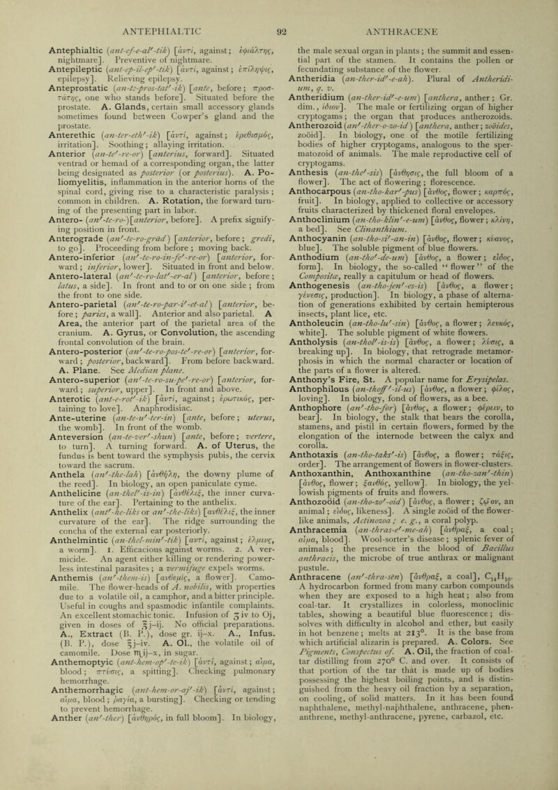 Antephialtic (ant-ef-e-al'-tik) [avri, against; efiaArr/g, nightmare]. Preventive of nightmare. Antepileptic [ant-ep-il-ep'-tik) [auri, against; epilepsy]. Relieving epilepsy. Anteprostatic {an-tc-pros-tat'-ik) \nnte, before; irpoa- TaT//g, one who stands before]. Situated before the prostate. A. Glands, certain small accessory glands sometimes found between Cowper’s gland and the prostate. Anterethic {an-ter-eth'-ik) [avri, against; ipediapdg, irritation]. Soothing; allaying irritation. Anterior [an-te'-}-e-or) \anterius, forward]. Situated ventrad or hemad of a corresponding organ, the latter being designated as posterior (or posterius). A. Po- liomyelitis, inflammation in the anterior horns of the spinal cord, giving rise to a characteristic paralysis ; common in children. A. Rotation, the forward turn- ing of the presenting part in labor. Antero- (an'-te-ro-)\cinterior, before]. A prefix signify- ing position in front. Anterograde (an'-te-ro-grad) [a?iterior,htiorf, gredi, to go]. Proceeding from before ; moving back. Antero-inferior (an'-te-ro-in-fe'-re-or) [anterior, for- ward; inferior,\o\'t&r\. Situated in front and below. Antero-lateral (a7i'-tc-ro-lat'-er-al) [anterior, before; latus, a side]. In front and to or on one side ; from the front to one side. Antero-parietal (an'-te-ro-par-i'-et-al) [anterior, be- fore; paries, Sl VIa\V\. Anterior and also parietal. A Area, the anterior part of the parietal area of the cranium. A. Gyrus, or Convolution, the ascending frontal convolution of the brain. Antero-posterior (an'-te-ro-pos-te'-re-or) [anterior, for- ward ; /oj-to'for, backward]. From before backward. A. Plane. See A/edian plane. Antero-superior (an'-te-ro-sn-pe'-re-or) [anterior, for- ward ; superior, upper]. In front and above. Anterotic (ant-e-rot'-ik) [avrl, against; epurmdc, per- taining to love]. Anaphrodisiac. Ante-uterine (an-te-n'-ter-in) [ante, before; uterus, the womb]. In front of the womb. Anteversion (an-te-ver'-slmn) [ante, before; vertere, to turn]. A turning forward. A. of Uterus, the fundus is bent toward tbe symphysis pubis, the cervix toward the sacrum. Anthela (an'-the-lah) [avdijXri, the downy plume of the reed]. In biology, an open paniculate cyme. Anthelicine (an-thel'-is-iti) [dvdeXi^, the inner curva- ture of the ear]. Pertaining to the anthelix. Anthelix (ant'-lie-liks or an'-the-liks) [avffeP.f, the inner curvature of the ear]. The ridge surrounding the concha of the external ear posteriorly. Anthelmintic (an-thel-7itin'-tik) [avri, against; ePpivc, a worm]. l. Efficacious against worms. 2. A ver- micide. An agent either killing or rendering power- less intestinal parasites; a ver77iifuge expels worms. Anthemis (a7i'-the/zi-is) [av6epig, a flower]. Camo- mile. The flower-heads of A. 7iobilis, with properties due to a volatile oil, a camphor, and a bitter principle. Useful in coughs and spasmodic infantile complaints. An excellent stomachic tonic. Infusion of ^^5 iv to Oj, given in doses of .^j-ij. No official preparations. A., Extract (B. P.), dose gr. ij-x. A., Infus. (B. P.), dose 5j-iv. A. Ol., the volatile oil of camomile. Hose rrij-x, in sugar. Anthemoptyic (a7it-he7/i-op'-te-ik) [dv-l, against; di/ia, blood; nriaig, a spitting]. Checking pulmonary hemorrhage. Anthemorrhagic (a/7t-he777-or-aj'-ik) [dvri, against; al/ia, blood ; payia, a bursting]. Checking or tending to prevent hemorrhage. Anther (a7i'-the7-) [dvO/jpbQ, in full bloom]. In biology. the male sexual organ in plants ; the summit and essen- tial part of the stamen. It contains the pollen or fecundating substance of the flower. Antheridia (a7i-ther-id'-e-ah). Plural of Antheridi- u/71, q. V. Antheridium (a7t-ther-id'-e-u77i) [a7ithera, anther ; Gr. dim., tdwv]. The male or fertilizing organ of higher cryptogams; the organ that produces antherozoids. Antherozoid (a77'-t/ier-o-zo-id) [a7tthera, anther; zodides, zooid]. In biology, one of the motile fertilizing bodies of higher cryptogams, analogous to the sper- matozoid of animals. The male reproductive cell of cryptogams. Anthesis (a7i-the'-sis) [dvOrjai^, the full bloom of a flower]. The act of flowering ; florescence. Anthocarpous (a7i-tho-kar'-pus) [dvOoc:, flower ; Kapvd^, fruit]. In biology, applied to collective or accessory fruits characterized by thickened floral envelopes. Anthoclinium (a7i-tho-kli7i'-e-7mi) [avOog, flower; kAivt/, a bed]. See Cli7ia7ithiu77i. Anthocyanin (a7i-tho-si'-aji-in) [dvOo^, flower; Kvavoc, blue]. The soluble pigment of blue flowers. Anthodium (a7i-tho'-de-u77i) [avUo(, a flower; eWof, form]. In biology, the so-called “flower” of the Co77!posit(s, really a capitulum or head of flowers. Anthogenesis (a7i-tho-jen'-es-is) [dvflof, a flower; yeveai(, production]. In biology, a phase of alterna- tion of generations exhibited by certain hemipterous insects, plant lice, etc. Antholeucin (an-tho-hd-sin) [dvflof, a flower; AeuxtSf, white]. The soluble pigment of white flowers. Antholysis (an-thol'-is-is) [dvflof, a flower; P.vaic, a breaking up]. In biology, that retrograde metamor- phosis in which the normal character or location of the parts of a flower is altered. Anthony’s Fire, St. A popular name for Erysipelas. Anthophilous (a7i-thojf'-il-us) [avdog, a flower; <j)'iXo^, loving]. In biology, fond of flowers, as a bee. Anthophore (a7i'-tho for) [avOog, a flower; ipcptiv, to bear]. In biology, the stalk that bears the corolla, stamens, and pistil in certain flowers, formed by the elongation of the internode between the calyx and corolla. Anthotaxis (an-tho-taks'-is) [avOog, a flower; rdfif, order]. The arrangement of flowers in flower-clusters. Anthoxanthin, Anthoxanthine (an-tho-za7t'-thi7i) [dvflof, flower; ^aoddg, yellow]. In biology, the yel- lowish pigments of fruits and flowers. Anthozooid (a7i-tho-zo'-oid) [dvdog, a flower; Cvov, an animal; eldof, likeness]. A single zooid of the flower- like animals, Aeti7iozoa ; e. g., a coral polyp. Anthracemia (a77-thras-e'-me-ah) [dvOpa^, a coal; nl/ra, blood]. Wool-sorter’s disease ; splenic fever of animals; the presence in the blood of Bacillus a7ithracis, the microbe of true anthrax or malignant pustule. Anthracene (a7i'-thra-sai) [dvBpa^, a coal], A hydrocarbon formed from many carbon compounds when they are exposed to a high heat; also from coal-tar. It crystallizes in colorless, monoclinic tables, showing a beautiful blue fluorescence; dis- solves with difficulty in alcohol and ether, but easily in hot benzene; melts at 213°. It is the base from which artificial alizarin is prepared. A. Colors. See Pig/7ie77ts, Co77spectus of. A. Oil, the fraction of coal- tar distilling from 270° C. and over. It consists of that portion of the tar that is made up of bodies possessing the highest boiling points, and is distin- guished from the heavy oil fraction by a separation, on cooling, of solid matters. In it bas been found naphthalene, methyl-naphthalene, anthracene, phen- anthrene, methyl-anthracene, pyrene, carbazol, etc.
