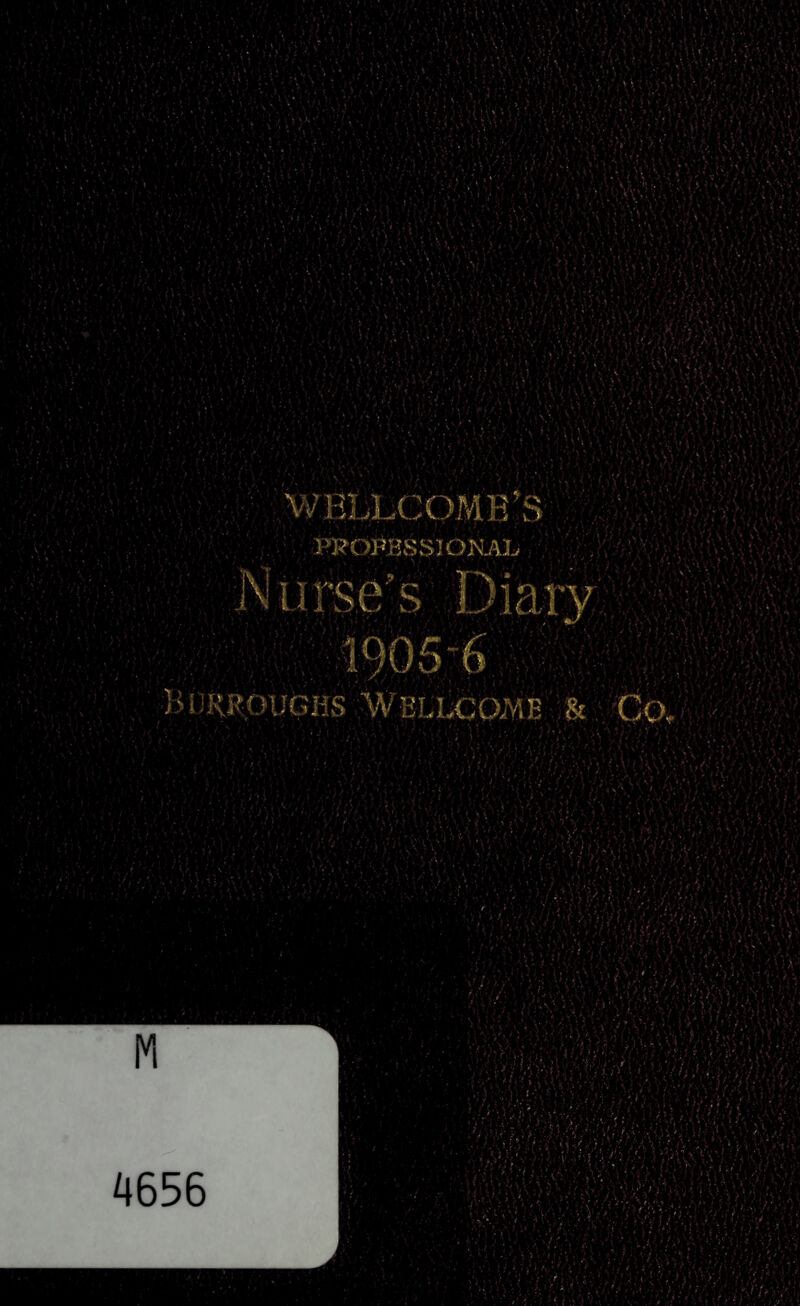 WBLLCOMB’S PROPBSSIOKAL Nurse’s Diaiy 1905-6 BORROUGHS 'WELIX20WE & Co,