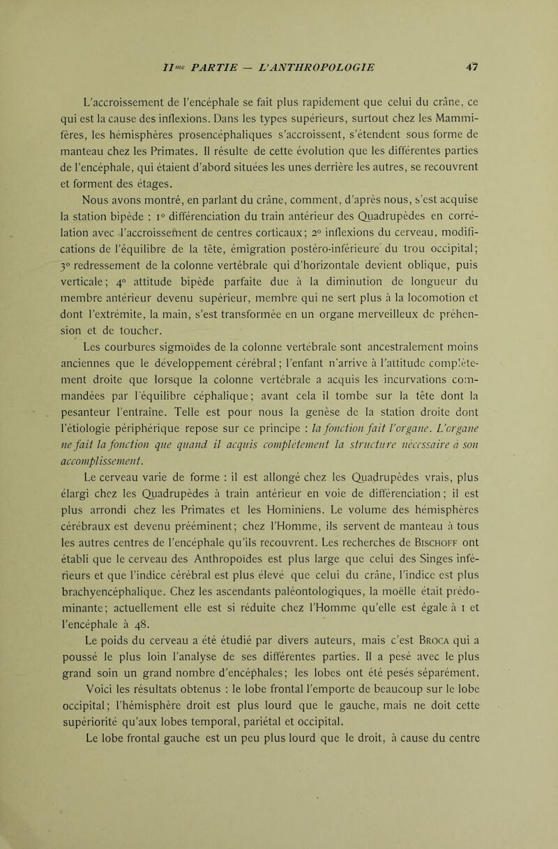 L’accroissement de l’encéphale se fait plus rapidement que celui du crâne, ce qui est la cause des inflexions. Dans les types supérieurs, surtout chez les Mammi- fères, les hémisphères prosencéphaliques s’accroissent, s’étendent sous forme de manteau chez les Primates. Il résulte de cette évolution que les différentes parties de l’encéphale, qui étaient d’abord situées les unes derrière les autres, se recouvrent et forment des étages. Nous avons montré, en parlant du crâne, comment, d’après nous, s’est acquise la station bipède : i» différenciation du train antérieur des Quadrupèdes en corré- lation avec l’accroissement de centres corticaux; 2° inflexions du cerveau, modifi- cations de l’équilibre de la tête, émigration postéro-inférieure du trou occipital; 30 redressement de la colonne vertébrale qui d’horizontale devient oblique, puis verticale; 4° attitude bipède parfaite due à la diminution de longueur du membre antérieur devenu supérieur, membre qui ne sert plus à la locomotion et dont l’extrémite, la main, s’est transformée en un organe merveilleux de préhen- sion et de toucher. Les courbures sigmoïdes de la colonne vertébrale sont ancestralement moins anciennes que le développement cérébral ; l’enfant n’arrive à l’attitude complète- ment droite que lorsque la colonne vertébrale a acquis les incurvations com- mandées par l'équilibre céphalique; avant cela il tombe sur la tête dont la pesanteur l’entraîne. Telle est pour nous la genèse de la station droite dont l’étiologie périphérique repose sur ce principe : la fonction fait l’organe. L’organe ne fait la fonction que quand il acquis complètement la structure nécessaire à son accomplissement. Le cerveau varie de forme : il est allongé chez les Quadrupèdes vrais, plus élargi chez les Qiiadrupèdes à train antérieur en voie de différenciation ; il est plus arrondi chez les Primates et les Hominiens. Le volume des hémisphères cérébraux est devenu prééminent; chez l’Homme, ils servent de manteau à tous les autres centres de l’encéphale qu’ils recouvrent. Les recherches de Bischoff ont établi que le cerveau des Anthropoïdes est plus large que celui des Singes infé- rieurs et que l’indice cérébral est plus élevé que celui du crâne, l’indice est plus brachyencéphalique. Chez les ascendants paléontologiques, la moëlle était prédo- minante; actuellement elle est si réduite chez l’Homme qu’elle est égale à 1 et l’encéphale à 48. Le poids du cerveau a été étudié par divers auteurs, mais c’est Broca qui a poussé le plus loin l’analyse de ses différentes parties. Il a pesé avec le plus grand soin un grand nombre d’encéphales; les lobes ont été pesés séparément. Voici les résultats obtenus : le lobe frontal l’emporte de beaucoup sur le lobe occipital ; l’hémisphère droit est plus lourd que le gauche, mais ne doit cette supériorité qu’aux lobes temporal, pariétal et occipital. Le lobe frontal gauche est un peu plus lourd que le droit, à cause du centre