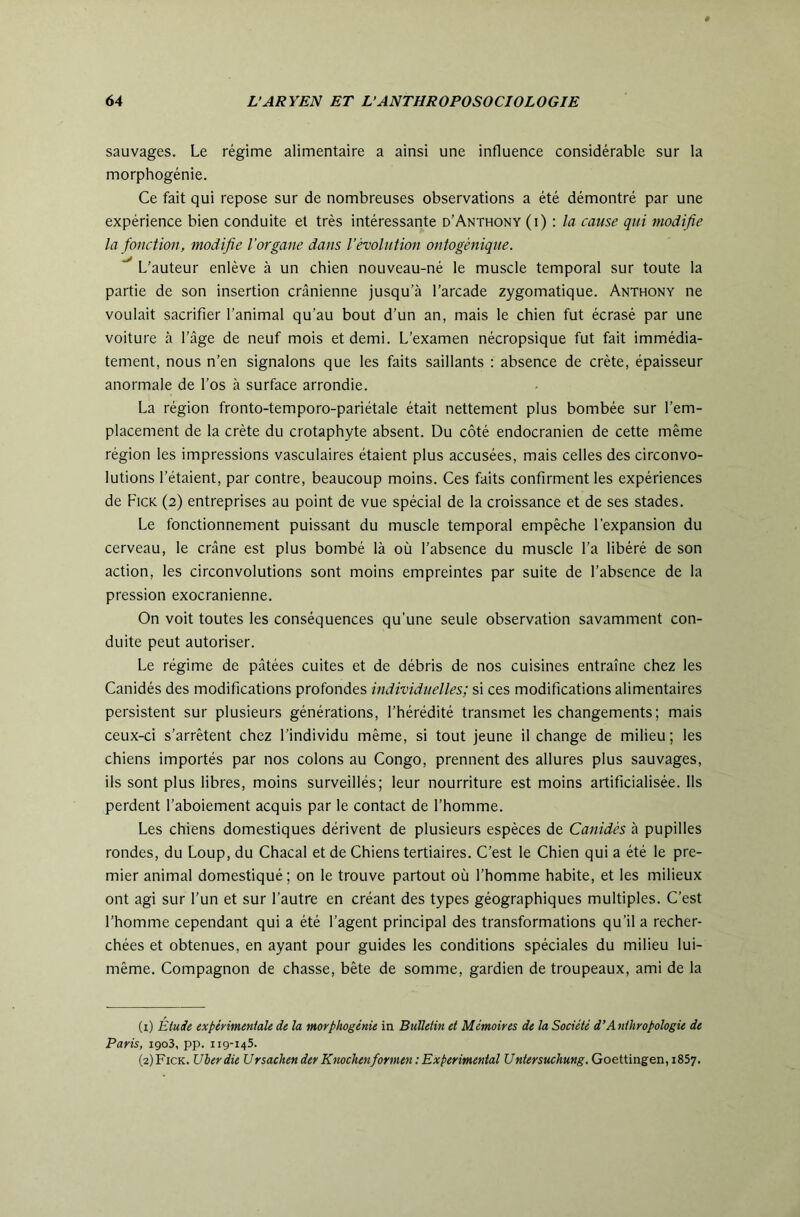 sauvages. Le régime alimentaire a ainsi une influence considérable sur la morphogénie. Ce fait qui repose sur de nombreuses observations a été démontré par une expérience bien conduite et très intéressante d’Anthony (\) : la cause qui modifie la fonction, modifie l’organe dans l’évolution ontogénique. L’auteur enlève à un chien nouveau-né le muscle temporal sur toute la partie de son insertion crânienne jusqu’à l’arcade zygomatique. Anthony ne voulait sacrifier l’animal qu’au bout d’un an, mais le chien fut écrasé par une voiture à l’âge de neuf mois et demi. L’examen nécropsique fut fait immédia- tement, nous n’en signalons que les faits saillants : absence de crête, épaisseur anormale de l’os à surface arrondie. La région fronto-temporo-pariétale était nettement plus bombée sur l’em- placement de la crête du crotaphyte absent. Du côté endocranien de cette même région les impressions vasculaires étaient plus accusées, mais celles des circonvo- lutions l’étaient, par contre, beaucoup moins. Ces faits confirment les expériences de Fick (2) entreprises au point de vue spécial de la croissance et de ses stades. Le fonctionnement puissant du muscle temporal empêche l’expansion du cerveau, le crâne est plus bombé là où l’absence du muscle l’a libéré de son action, les circonvolutions sont moins empreintes par suite de l’absence de la pression exocranienne. On voit toutes les conséquences qu’une seule observation savamment con- duite peut autoriser. Le régime de pâtées cuites et de débris de nos cuisines entraîne chez les Canidés des modifications profondes individuelles; si ces modifications alimentaires persistent sur plusieurs générations, l’hérédité transmet les changements; mais ceux-ci s’arrêtent chez l’individu même, si tout jeune il change de milieu; les chiens importés par nos colons au Congo, prennent des allures plus sauvages, ils sont plus libres, moins surveillés; leur nourriture est moins artificialisée. Ils perdent l’aboiement acquis par le contact de l’homme. Les chiens domestiques dérivent de plusieurs espèces de Canidés à pupilles rondes, du Loup, du Chacal et de Chiens tertiaires. C’est le Chien qui a été le pre- mier animal domestiqué; on le trouve partout où l’homme habite, et les milieux ont agi sur l’un et sur l’autre en créant des types géographiques multiples. C’est l’homme cependant qui a été l’agent principal des transformations qu’il a recher- chées et obtenues, en ayant pour guides les conditions spéciales du milieu lui- même. Compagnon de chasse, bête de somme, gardien de troupeaux, ami de la (1) Étude txpirimeniale de la moyphogénie in Bulletin et Mémoires de la Société d’Anthropologie de Paris, 1903, pp. 119-145. (2) Fick. Uberdie Ursachender Knochenformen :Experimenial Untersuchung. Goettingen, 1857.