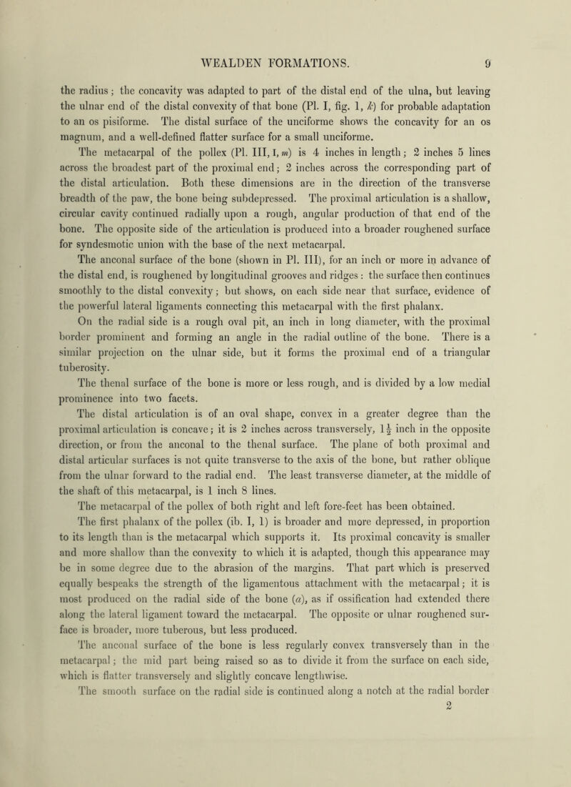 the radius; the concavity was adapted to part of the distal end of the ulna, but leaving the ulnar end of the distal convexity of that bone (PI. I, fig. 1, k) for probable adaptation to an os pisiforme. The distal surface of the unciforme shows the concavity for an os magnum, and a well-defined flatter surface for a small unciforme. The metacarpal of the pollex (PI. Ill, I, m) is 4 inches in length; 2 inches 5 lines across the broadest part of the proximal end; 2 inches across the corresponding part of the distal articulation. Both these dimensions are in the direction of the transverse breadth of the paw, the bone being subdepressed. The proximal articulation is a shallow, circular cavity continued radially upon a rough, angular production of that end of the bone. The opposite side of the articulation is produced iuto a broader roughened surface for syndesmotic union with the base of the next metacarpal. The anconal surface of the bone (shown in PI. Ill), for an inch or more in advance of the distal end, is roughened by longitudinal grooves and ridges : the surface then continues smoothly to the distal convexity; but shows, on each side near that surface, evidence of the powerful lateral ligaments connecting this metacarpal with the first phalanx. On the radial side is a rough oval pit, an inch in long diameter, with the proximal border prominent and forming an angle in the radial outline of the bone. There is a similar projection on the ulnar side, but it forms the proximal end of a triangular tuberosity. The thenal surface of the bone is more or less rough, and is divided by a low medial prominence into two facets. The distal articulation is of an oval shape, convex in a greater degree than the proximal articulation is concave; it is 2 inches across transversely, I| inch in the opposite direction, or from the anconal to the thenal surface. The plane of both proximal and distal articular surfaces is not quite transverse to the axis of the bone, but rather oblique from the ulnar forward to the radial end. The least transverse diameter, at the middle of the shaft of this metacarpal, is I inch 8 lines. The metacarpal of the pollex of both right and left fore-feet has been obtained. The first phalanx of the pollex (ib. I, 1) is broader and more depressed, in proportion to its length than is the metacarpal which supports it. Its proximal concavity is smaller and more shallow than the convexity to which it is adapted, though this appearance may be in some degree due to the abrasion of the margins. That part which is preserved equally bespeaks the strength of the ligamentous attachment with the metacarpal; it is most produced on the radial side of the bone [a), as if ossification had extended there along the lateral ligament toward the metacarpal. The opposite or ulnar roughened sur- face is broader, more tuberous, but less produced. The anconal surface of the bone is less regularly convex transversely than in the metacarpal; the mid part being raised so as to divide it from the surface on each side, which is flatter transversely and slightly concave lengthwise. The smooth surface on the radial side is continued along a notch at the radial border 2