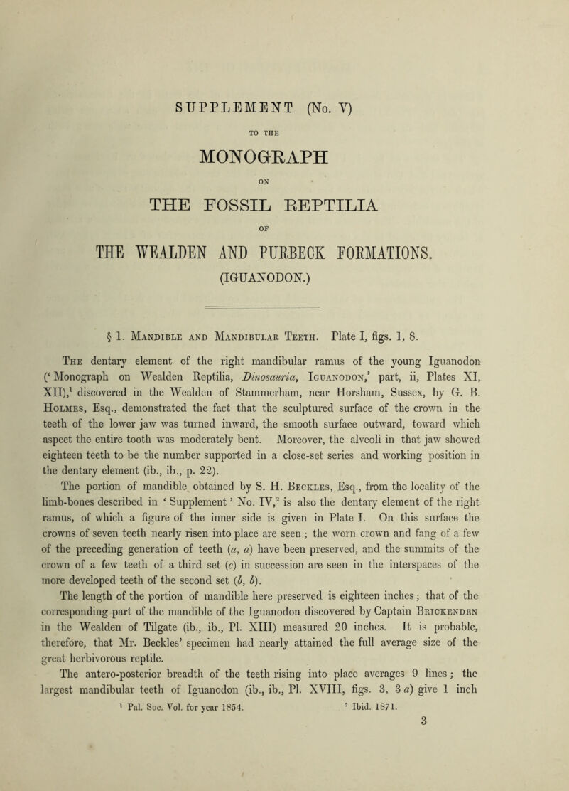SUPPLEMENT (No. Y) TO THE MONOeEAPH ON THE FOSSIL EEPTILIA OP THE WEALDEN AND PURBECK FORMATIONS. (IGUANODON.) § 1. Mandible and Mandibular Teeth. Plate I, figs. 1, 8. The dentary element of the right mandibular ramus of the young Iguanodon (‘ Monograph on Wealden Reptilia, JDinosauria, Iguanodon/ part, ii, Plates XI, XII),^ discovered in the Wealden of Stammerham, near Horsham, Sussex, by G. B. Holmes, Esq., demonstrated the fact that the sculptured surface of the crown in the teeth of the lower jaw was turned inward, the smooth surface outward, toward which aspect the entire tooth was moderately bent. Moreover, the alveoli in that jaw showed eighteen teeth to be the number supported in a close-set series and working position in the dentary element (ib., ib., p. 22). The portion of mandible^ obtained by S. H. Beckles, Esq., from the locality of the limb-bones described in ‘ Supplement ’ No. IV,^ is also the dentary element of the right ramus, of which a figure of the inner side is given in Plate I. On this surface the crowns of seven teeth nearly risen into place are seen ; the worn crown and fang of a few of the preceding generation of teeth [a, a) have been preserved, and the summits of the crown of a few teeth of a third set (c) in succession are seen in the interspaces of the more developed teeth of the second set {b, b). The length of the portion of mandible here preserved is eighteen inches; that of the corresponding part of the mandible of the Iguanodon discovered by Captain Brickenden in the Wealden of Tilgate (ib., ib., PI. XHI) measured 20 inches. It is probable, therefore, that Mr. Beckles’ specimen had nearly attained the full average size of the great herbivorous reptile. The antero-posterior breadth of the teeth rising into place averages 9 lines; the largest mandibular teeth of Iguanodon (ib., ib,, PI. XVHI, figs. 3, 3 a) give I inch ^ Pal. Soc. Vol. for year 1854. ' Ibid. 1871.