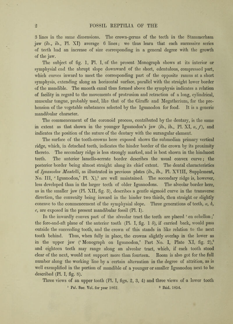 3 lines in the same dimensions. The crown-germs of the teeth in the Stammerhain jaw (ib., ib., PI. XI) average 6 lines; we thus learn that each successive series of teeth had an increase of size corresponding in a general degree with the growth of the jaw. The subject of fig. I, PI. I, of the present Monograph shows at its interior or symphysial end the abrupt slope downward of the short, edentulous, compressed part, which curves inward to meet the corresponding part of the opposite ramus at a short symphysis, extending along an horizontal surface, parallel with the straight lower border of the mandible. The smooth canal thus formed above the symphysis indicates a relation of facility in regard to the movements of protrusion and retraction of a long, cylindrical, muscular tongue, probably used, like that of the Giraffe and Megatherium, for the pre- hension of the vegetable substances selected by the Iguanodon for food. It is a generic mandibular character. The commencement of the coronoid process, contributed by the dentary, is the same in extent as that shown in the younger Iguanodon’s jaw (ib., ib., PI. XI, a, /), and indicates the position of the suture of the dentary with the surangular element. The surface of the tooth-crowns here exposed shows the submedian primary vertical ridge, which, in detached teeth, indicates the hinder border of the croAvn by its proximity thereto. The secondary ridge is less strongly marked, and is best shown in the hindmost teeth. The anterior lamello-serrate border describes the usual convex curve; the posterior border being almost straight along its chief extent. The dental characteristics of Iguanodon Mantelli, as illustrated in previous plates (ib., ib., PL XVIII, Supplement, No. Ill, ‘ Iguanodon,’ PI. X),^ are well maintained. The secondary ridge is, however, less developed than in the larger teeth of older Iguanodons. The alveolar border here, as in the smaller jaw (PI. XII, fig. 3), describes a gentle sigmoid curve in the transverse direction, the convexity being inward in the hinder two thirds, then straight or slightly concave to the commencement of the symphysial slope. Three generations of teeth, a, b, c, are exposed in the present mandibular fossil (PI. I). In the inwardly convex part of the alveolar tract the teeth are placed ‘ en echellon the fore-and-aft plane of the anterior tooth (PL I, fig. 1 b), if carried back, would pass outside the succeeding tooth, and the crown of this stands in like relation to the next tooth behind. Thus, when fully in place, the crowns slightly overlap in the lower as in the upper jaw Monograph on Iguanodon,’ Part No. I, Plate XI, fig. 2),® and eighteen teeth may range along an alveolar tract, which, if each tooth stood clear of the next, would not support more than fourteen. Room is also got for the full number along the working line by a certain alternation in the degree of attrition, as is well exemplified in the portion of mandible of a younger or smaller Iguanodon next to be described (PL I, fig. 8). Three views of an upper tooth (PL I, figs. 2, 3, 4) and three views of a lower tooth * Pal. Soc. Vol. for year 1862. ^ Ibid. 1854.