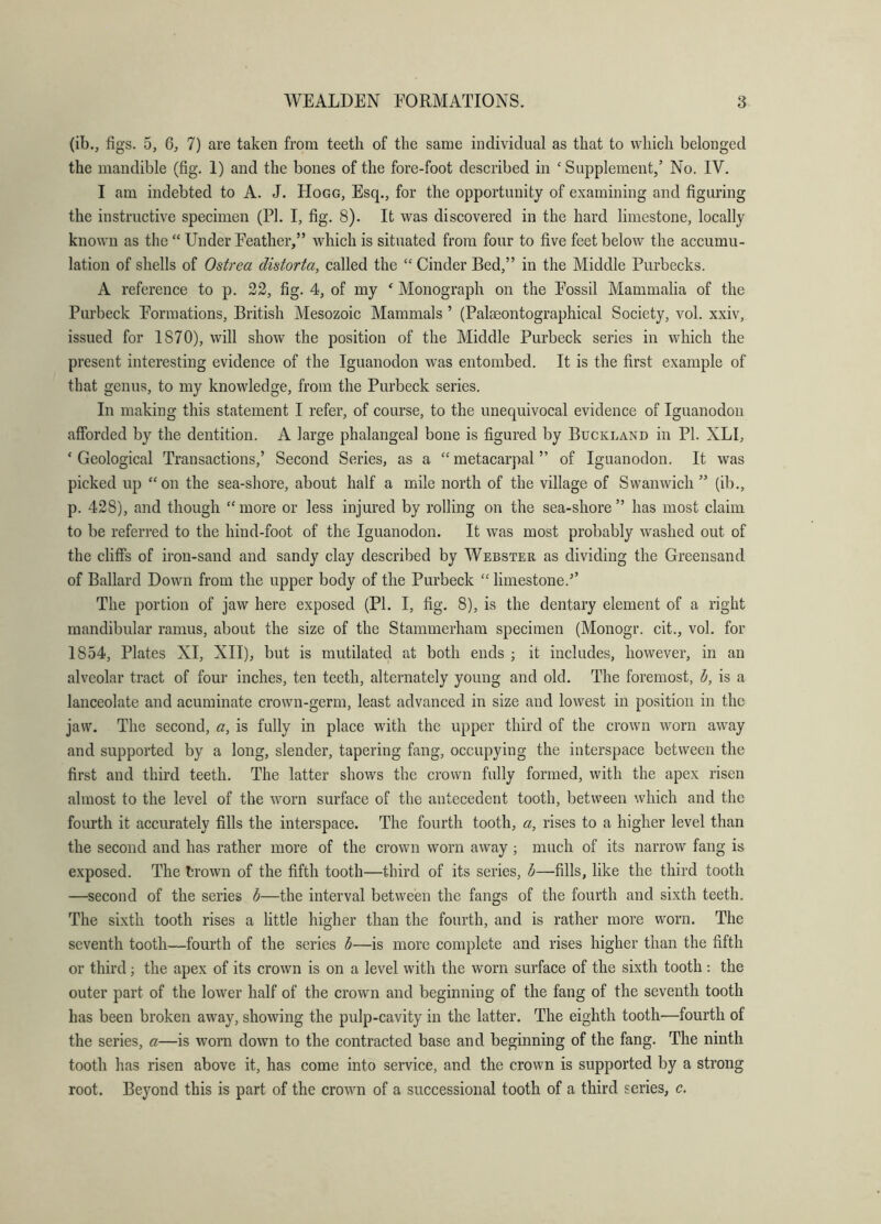 (ib., figs. 5, 6, 7) are taken from teeth of the same individual as that to which belonged the mandible (fig. 1) and the bones of the fore-foot described in ‘ Supplement,’ No. IV. I am indebted to A. J. FIogg, Esq., for the opportunity of examining and figuring the instructive specimen (PI. I, fig. 8). It was discovered in the hard limestone, locally known as the “ Under Feather,” which is situated from four to five feet below the accumu- lation of shells of Ostrea distorta, called the “ Cinder Bed,” in the Middle Purbecks. A reference to p. 22, fig. 4, of my ' Monograph on the Fossil Mammalia of the Purbeck Formations, British Mesozoic Mammals ’ (Palasontographical Society, vol. xxiv, issued for 1870), will show the position of the Middle Purbeck series in which the present interesting evidence of the Iguanodon was entombed. It is the first example of that genus, to my knowledge, from the Purbeck series. In making this statement I refer, of course, to the unequivocal evidence of Iguanodon afforded by the dentition. A large phalangeal bone is figured by Buckland in PI. XLI, ‘ Geological Transactions,’ Second Series, as a “ metacarpal ” of Iguanodon. It was picked up “on the sea-shore, about half a mile north of the village of Swanwich ” (ib., p. 428), and though “ more or less injured by rolling on the sea-shore ” has most claim to be refeiu’ed to the hind-foot of the Iguanodon. It was most probably washed out of the cliff’s of iron-sand and sandy clay described by Webster as dividing the Greensand of Ballard Down from the upper body of the Purbeck “ limestone.’’ The portion of jaw here exposed (PI. I, fig. 8), is the dentary element of a right mandibular ramus, about the size of the Stammerham specimen (Monogr. cit., vol. for 1854, Plates XI, XII), but is mutilated at both ends ; it includes, however, in an alveolar tract of four inches, ten teeth, alternately young and old. The foremost, h, is a lanceolate and acuminate crown-germ, least advanced in size and lowest in position in the jaw. The second, a, is fully in place with the upper third of the crown worn away and supported by a long, slender, tapering fang, occupying the interspace between the first and third teeth. The latter shows the crown fully formed, with the apex risen almost to the level of the worn surface of the antecedent tooth, between which and the fourth it accurately fills the interspace. The fourth tooth, a, rises to a higher level than the second and has rather more of the crown worn away ; much of its narrow fang is exposed. The trown of the fifth tooth—third of its series, b—fills, like the third tooth —second of the series b—the interval between the fangs of the fourth and sixth teeth. The sixth tooth rises a little higher than the fourth, and is rather more worn. The seventh tooth—fourth of the series b—is more complete and rises higher than the fifth or third; the apex of its crown is on a level with the worn surface of the sixth tooth: the outer part of the lower half of the crown and beginning of the fang of the seventh tooth has been broken away, showing the pulp-cavity in the latter. The eighth tooth—fourth of the series, a—is worn down to the contracted base and beginning of the fang. The ninth tooth has risen above it, has come into service, and the crown is supported by a strong root. Beyond this is part of the crown of a successional tooth of a third series, c.