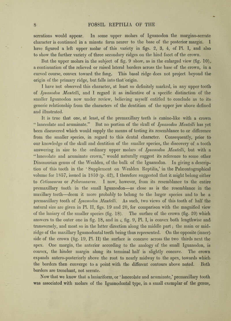 serrations would appear. In some upper molars of Iguanodon tlie margino-serratc character is continued in a minute form nearer to the base of the posterior margin. I have figured a left upper molar of this variety in figs. 2, 3, 4, of FI. I, and also to show the further variety of three secondary ridges on the hind facet of the crown. But the upper molars in the subject of fig. 9 show, as in the enlarged view (fig. 10),. a continuation of the relieved or raised lateral borders across the base of the crown, in a curved course, convex toward the fang. This basal ridge does not project beyond the origin of the primary ridge, but falls into that origin. I have not observed this character, at least so definitely marked, in any upper tooth of Iguanodon Mantelli, and I regard it as indicative of a specific distinction of the smaller Iguanodon now under review, believing myself entitled to conclude as to its generic relationship from the characters of the dentition of the upper jaw above defined and illustrated. It is true that one, at least, of the premaxillary teeth is canine-like with a crown “ lanceolate and acuminate.” But no portion of the skull of Iguanodon Mantelli has yet been discovered which would supply the means of testing its resemblance to or difference from the smaller species, in regard to this dental character. Consequently, prior to our knowledge of the skull and dentition of the smaller species, the discovery of a tooth answering in size to the ordinary upper molars of Iguanodon Mantelli, but with a “ lanceolate and acuminate crown,” would naturally suggest its reference to some other Dinosaurian genus of the Wealden, of the bulk of the Iguanodon. In giving a descrip- tion of this tooth in the ‘ Supplement on Wealden Reptilia,’ in the Palaeontographical volume for 1857, issued in 1859 (p. 42), I therefore suggested that it might belong either to Cetiosaurus or Pelorosaurus. I now, however, from its resemblance to the entire premaxillary tooth in the small Iguanodon—as close as is the resemblance in the maxillary teeth—deem it more probably to belong to the larger species and to be a premaxillary tooth of Iguanodon Mantelli. As such, two views of this tooth of half the natural size are given in PI. II, figs. 19 and 20, for comparison with the magnified view of the laniary of the smaller species (fig. 18). The surface of the crown (fig. 20) which answers to the outer one in fig. 18, and in i, fig. 9, PI. I, is convex both lengthwise and' transversely, and most so in the latter direction along the middle part; the main or mid- ridge of the maxillary Iguanodontal teeth being thus represented. On the opposite (inner) side of the crown (fig. 19, PL II) the surface is concave across the two thirds next the apex. One margin, the anterior according to the analogy of the small Iguanodon, is convex, the hinder margin along its terminal half is slightly concave. The crown expands antero-posteriorly above the root to nearly midway to the apex, towards which, the borders then converge to a point with the different contours above noted. Both borders are trenchant, not serrate. Now that we know that a laniariform, or ‘ lanceolate and acuminate,’ premaxillary tooth was associated with molars of the Iguanodontal type, in a small exemplar of the genus,