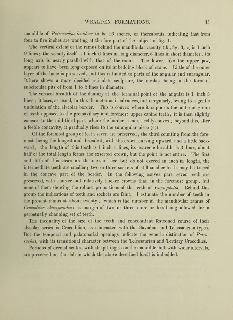mandible of Petrosuclus levidens to be 16 inches, or thereabouts, indicating that from four to five inches are wanting at the fore part of the subject of fig. 1. The vertical extent of the ramus behind the mandibular vacuity (ib., fig. 3, v) is 1 inch 9 lines; the vacuity itself is 1 inch 6 lines in long diameter, 6 lines in short diameter; its long axis is nearly parallel with that of the ramus. The lower, like the upper jaw, appears to have been long exposed on its imbedding block of stone. Little of the outer layer of the bone is preserved, and this is limited to parts of the angular and surangular. It here shows a more decided reticulate sculpture, the meshes being in the form of subcircular pits of from 1 to 2 lines in diameter. The vertical breadth of the dentary at the terminal point of the angular is 1 inch 3 lines ; it loses, as usual, in this diameter as it advances, but irregularly, owing to a gentle undulation of the alveolar border. This is convex where it supports the anterior group of teeth opposed to the premaxillary and foremost upper canine teeth; it is then slightly concave to the mid-third part, where the border is more feebly convex; beyond this, after a feeble concavity, it gradually rises to the surangular piece (29). Of the foremost group of teeth seven are preserved ; the third counting from the fore- most being the longest and broadest, with the crown curving upward and a little back- ward ; the length of this tooth is 1 inch 4 lines, its extreme breadth is 3 lines, about half of the total length forms the exserted crown, but the point is not entire. The first and fifth of this series are the next in' size, but do not exceed an inch in length, the intermediate teeth are smaller; two or three sockets of still smaller teeth may be traced in the concave part of the border. In the following eonvex part, seven teeth are preserved, with shorter and relatively thicker crowns than in the foremost group; but none of them showing the robust proportions of the teeth of Goniopholis. Behind this group the indications of teeth and sockets are faint. I estimate the number of teeth in the present ramus at about twenty ; which is the number in the mandibular ramus of Crocodilus champsoides: a margin of two or three more or less being allowed for a perpetually changing set of teeth. The inequality of the size of the teeth and concomitant festooned course of their alveolar series is Crocodilian, as contrasted with the Gavialian and Teleosaurian types. But the temporal and palatonarial openings indicate the generic distinction of Petro- sucJius, with its transitional character between the Teleosaurian and Tertiary Crocodiles. Portions of dermal scutes, with the pitting as on the mandible, but with wider intervals, are preserved on the slab in which the above-described fossil is imbedded.