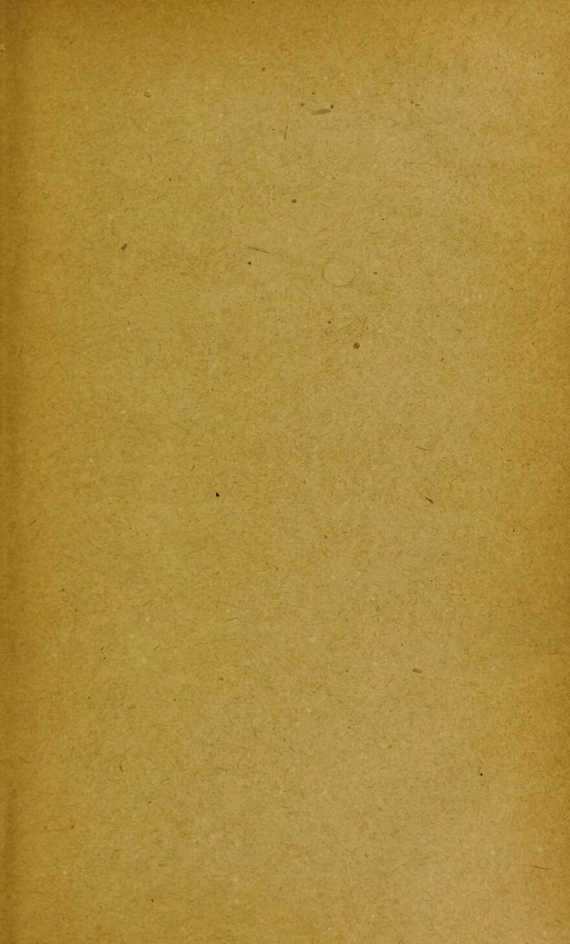 I « A. . ■ i .r t A / ' i -f. ''v /