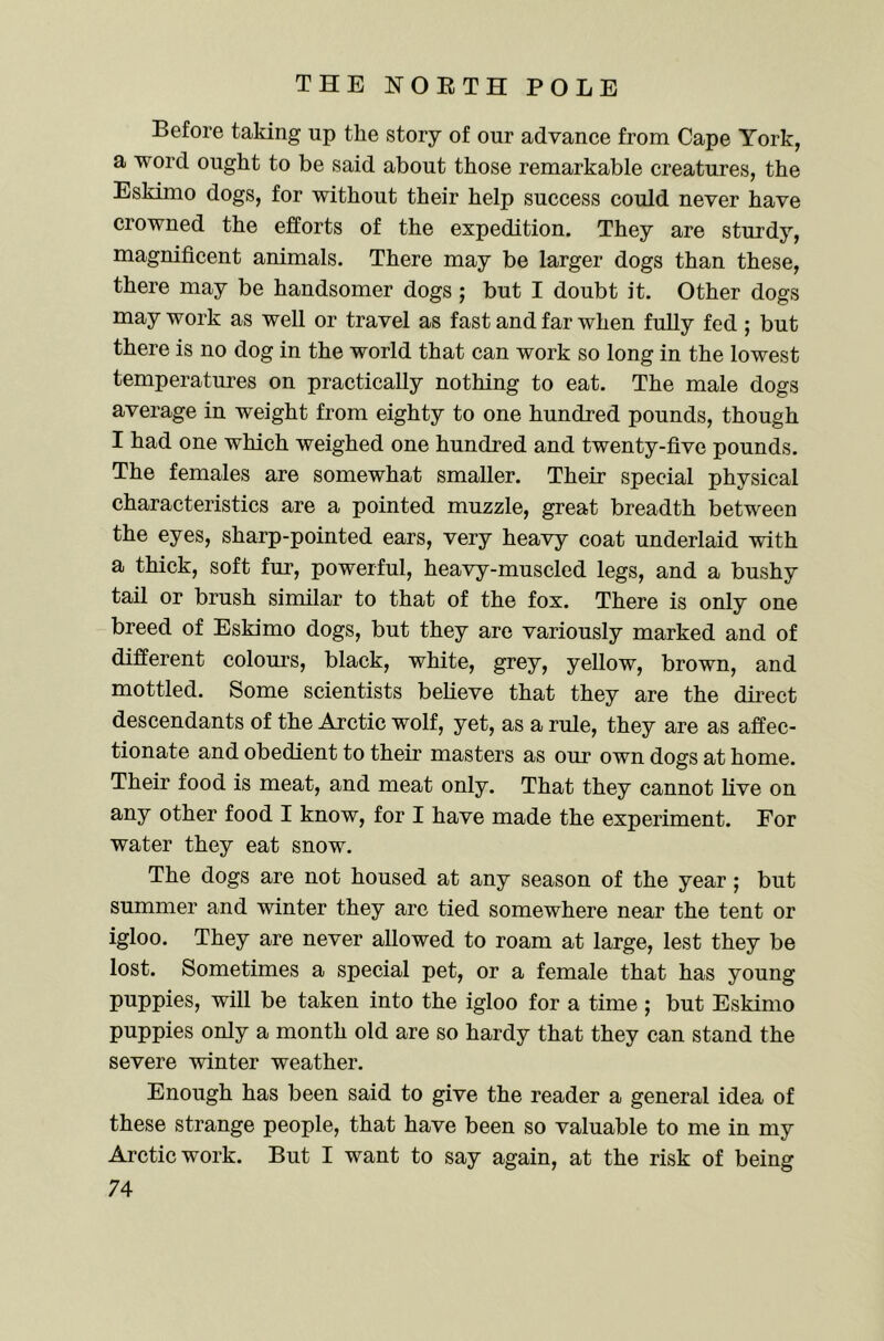 Before taking up the story of our advance from Cape York, a word ought to be said about those remarkable creatures, the Eskimo dogs, for without their help success could never have crowned the efforts of the expedition. They are sturdy, magnificent animals. There may be larger dogs than these, there may be handsomer dogs ; but I doubt it. Other dogs may work as well or travel as fast and far when fully fed ; but there is no dog in the world that can work so long in the lowest temperatm’es on practically nothing to eat. The male dogs average in weight from eighty to one hundred pounds, though I had one which weighed one hundred and twenty-five pounds. The females are somewhat smaller. Their special physical characteristics are a pointed muzzle, great breadth between the eyes, sharp-pointed ears, very heavy coat underlaid with a thick, soft fur, powerful, heavy-muscled legs, and a bushy tail or brush similar to that of the fox. There is only one breed of Eskimo dogs, but they are variously marked and of different colom’s, black, white, grey, yellow, brown, and mottled. Some scientists believe that they are the dii’ect descendants of the Arctic wolf, yet, as a rule, they are as affec- tionate and obedient to their masters as our own dogs at home. Their food is meat, and meat only. That they cannot live on any other food I know, for I have made the experiment. For water they eat snow. The dogs are not housed at any season of the year; but summer and winter they arc tied somewhere near the tent or igloo. They are never allowed to roam at large, lest they be lost. Sometimes a special pet, or a female that has young puppies, will be taken into the igloo for a time ; but Eskimo puppies only a month old are so hardy that they can stand the severe winter weather. Enough has been said to give the reader a general idea of these strange people, that have been so valuable to me in my Arctic work. But I want to say again, at the risk of being