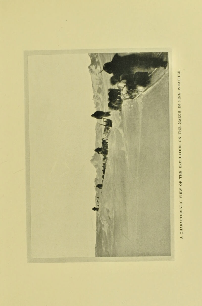 CHARACTERISTIC VIEW OF THE EXPEDITION ON THE MARCH IN FINE WEATHER.