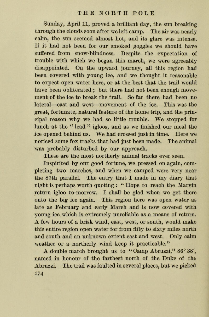 Sunday, April 11, proved a brilliant day, the sun breaking through the clouds soon after we left camp. The air was nearly calm, the sun seemed almost hot, and its glare was intense. If it had not been for our smoked goggles we should have suffered from snow-blindness. Despite the expectation of trouble with which we began this march, we were agreeably disappointed. On the upward journey, all this region had been covered with young ice, and we thought it reasonable to expect open water here, or at the best that the trail would have been obliterated ; but there had not been enough move- ment of the ice to break the trail. So far there had been no lateral—east and west—movement of the ice. This was the great, fortunate, natural feature of the home trip, and the prin- cipal reason why we had so little trouble. We stopped for lunch at the “ lead ” igloos, and as we finished our meal the ice opened behind us. We had crossed just in time. Here we noticed some fox tracks that had just been made. The animal was probably disturbed by our approach. These are the most northerly animal tracks ever seen. Inspirited by our good fortune, we pressed on again, com- pleting two marches, and when we camped were very near the 87th parallel. The entry that I made in my diary that night is perhaps worth quoting : “ Hope to reach the Marvin return igloo to-morrow. I shall be glad when we get there onto the big ice again. This region here was open water as late as February and early March and is now covered with young ice which is extremely unreliable as a means of return. A few hours of a brisk wind, east, west, or south, would make this entire region open water for from fifty to sixty miles north and south and an unknown extent east and west. Only calm weather or a northerly wind keep it practicable.” A double march brought us to “ Camp Abruzzi,” 86° 38', named in honour of the farthest north of the Duke of the Abruzzi. The trail was faulted in several places, but we picked