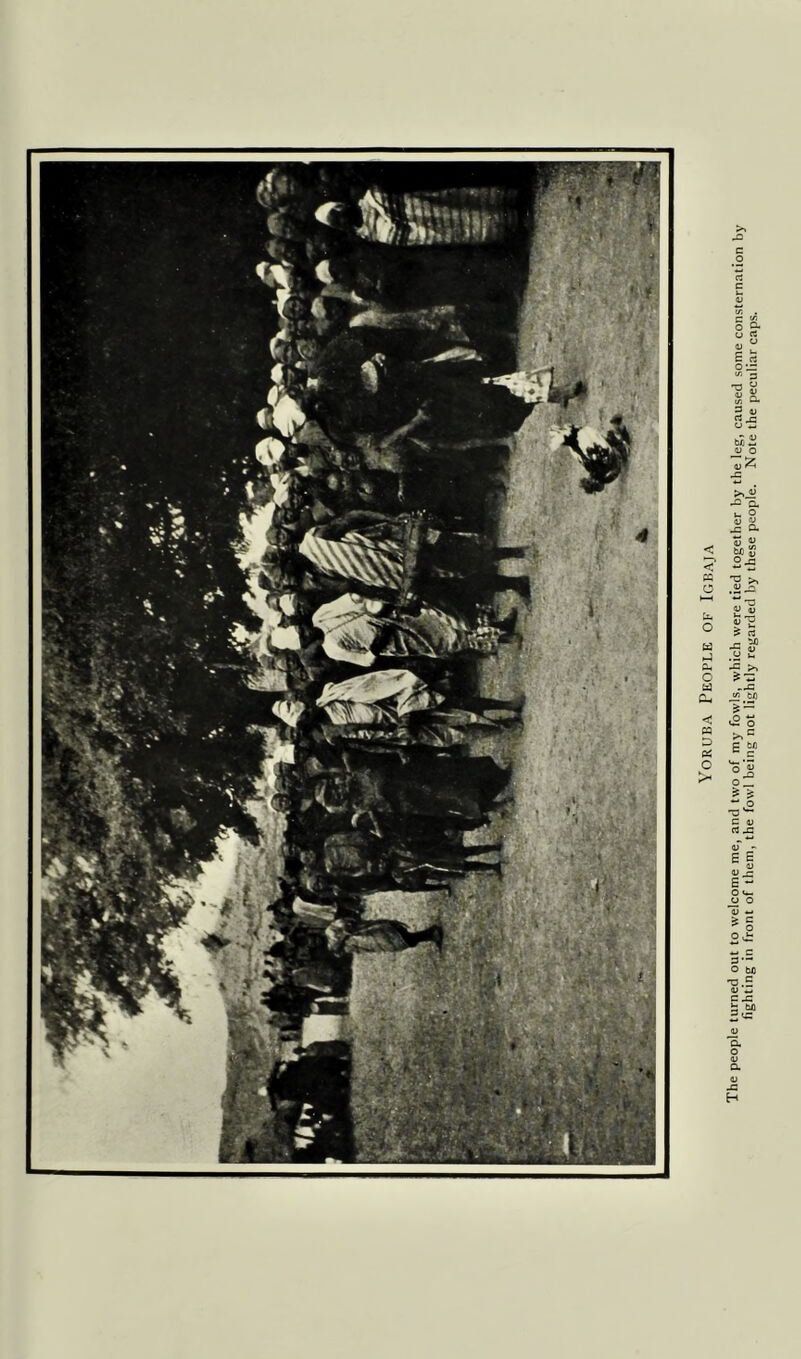 Yoruba People of Igbaja Xhe people turned out to welcome me, and two of my fowls, which were tied together by the leg, caused some consternation by fighting in front of them, the fowl being not lightly regarded by these people. Note the peculiar caps.