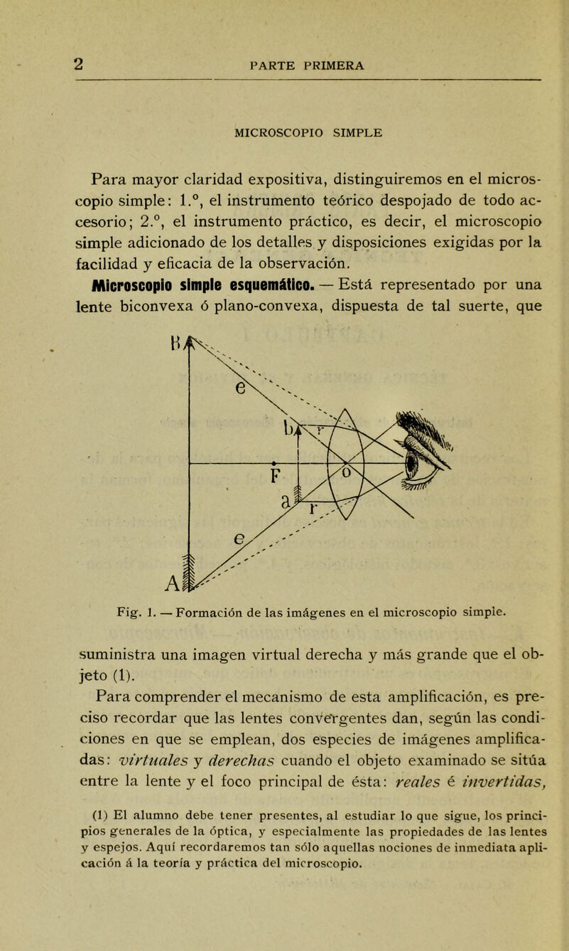 MICROSCOPIO SIMPLE Para mayor claridad expositiva, distinguiremos en el micros- copio simple: l.°, el instrumento teórico despojado de todo ac- cesorio; 2°, el instrumento práctico, es decir, el microscopio simple adicionado de los detalles y disposiciones exigidas por la facilidad y eficacia de la observación. Microscopio simple esquemático. — Está representado por una lente biconvexa ó plano-convexa, dispuesta de tal suerte, que Fig. 1. —Formación de las imágenes en el microscopio simple. suministra una imagen virtual derecha y más grande que el ob- jeto (1). Para comprender el mecanismo de esta amplificación, es pre- ciso recordar que las lentes conVe'rgentes dan, según las condi- ciones en que se emplean, dos especies de imágenes amplifica- das: virtuales y derechas cuando el objeto examinado se sitúa entre la lente y el foco principal de ésta: reales é invertidas, (1) El alumno debe tener presentes, al estudiar lo que sigue, los princi- pios generales de la óptica, y especialmente las propiedades de las lentes y espejos. Aquí recordaremos tan sólo aquellas nociones de inmediata apli- cación á la teoría y práctica del microscopio.