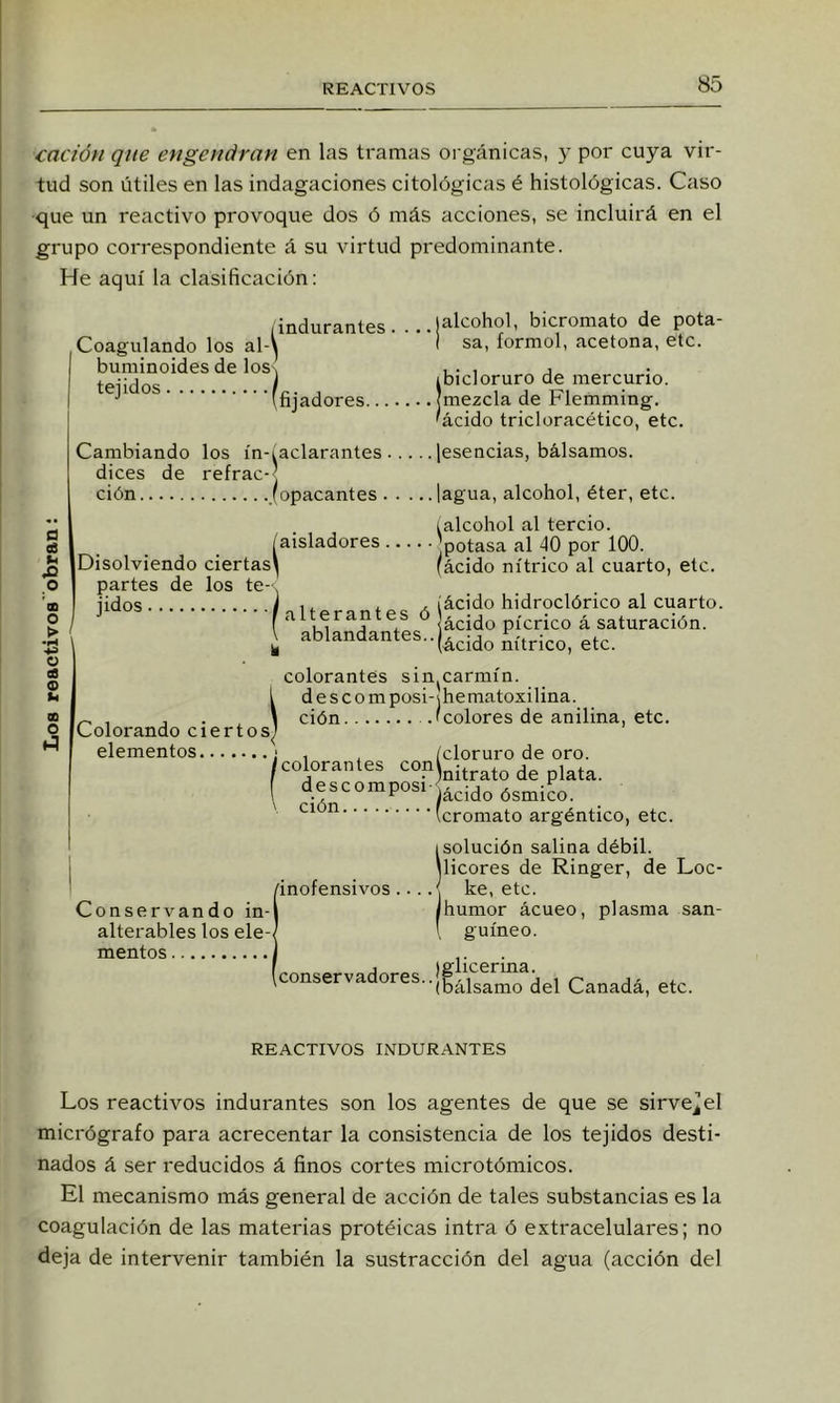 cat ión que engendran en las ti-amas orgánicas, y por cuya vir- tud son útiles en las indagaciones citológicas é histológicas. Caso que un reactivo provoque dos ó más acciones, se incluirá en el grupo correspondiente á su virtud predominante. He aquí la clasificación: Coagulando los al-' buminoides de los tejidos indurantes . ... fijadores ¡alcohol, bicromato de pota- í sa, íormol, acetona, etc. ibicloruro de mercurio, (mezcla de Flemming. 'ácido tricloracético, etc. d eS «H O 'a O > •H 4.3 O CB O Í4 00 o Cambiando los ín-íaclarantes ¡esencias, bálsamos. dices de refrac-] ción (opacantes lagua, alcohol, éter, etc. Disolviendo ciertas^ partes de los te jidos Colorando ciertos elementos..., (alcohol al tercio. aisladores potasa al 40 por 100. (ácido nítrico al cuarto, etc. .X ¡ácido hidroclórico al cuarto, alterantes ó pícrico á saturación. , ^bl^^d^^t®-|ácido nítrico, etc. colorantes sin^carmín. descomposi-lhematoxilina. ción ./colores de anilina, etc. cloruro de oro. ‘'^^'nitrato de plata. /colorantes conl ( ‘i.f‘'«^PO^'So^ósmicm ' ción Conservando in- alterables los ele-, mentos /inofensivos ....{ Icromato argéntico, etc. (Solución salina débil, ¡licores de Ringer, de Loc- he, etc. /humor ácueo, plasma san- \ guineo. conservadores..Canadá, etc. REACTIVOS INDURANTES Los reactivos indurantes son los agentes de que se sirve^el micrógrafo para acrecentar la consistencia de los tejidos desti- nados á ser reducidos á finos cortes microtómicos. El mecanismo más general de acción de tales substancias es la coagulación de las materias protéicas intra ó extracelulares; no deja de intervenir también la sustracción del agua (acción del