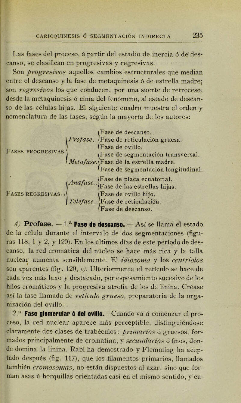Las fases del proceso, á partir del estadio de inercia ó de des- canso, se clasifican en progresivas y regresivas. Son progresivos aquellos cambios estructurales que median entre el descanso y la fase de metaquinesis ó de estrella madre; son regresivos los que conducen, por una suerte de retroceso, desde la metaquinesis ó cima del fenómeno, al estado de descan- so de las células hijas. El siguiente cuadro muestra el orden y nomenclatura de las fases, según la mayoría de los autores: F.a^ses progresivas ^Fase de descanso. i Profase. «Fase de reticulación gruesa. ] (Fase de ovillo. Fases regresivas. ¡Fase de segmentación transversal. Fase de la estrella madre. Fase de segmentación longitudinal. . „ \Fase de placa ecuatorial. ( na (jg jgg estrellas hijas. IFase de ovillo hijo. Fase de reticulación. Fase de descanso. A) Profase. — 1.^ Fase de descanso. — Así se llama el estado de la célula durante el intervalo de dos segmentaciones (figu- ras 118, 1 y 2, y 120). En los últimos días de este período de des- canso, la red cromática del núcleo se hace más rica y la talla nuclear aumenta sensiblemente. El idiosoma y los centriolos son aparentes (fig. 120, c). Ulteriormente el retículo se hace de cada vez más laxo y destacado, por espesamiento sucesivo de les hilos cromáticos y la progresiva atrofia de los de linina. Créase así la fase llamada de retículo grueso, preparatoria de la orga- nización del ovillo. 2.* Fase glomerular 6 del ovillo.—Cuando va á comenzar el pro- ceso, la red nuclear aparece más perceptible, distinguiéndose claramente dos clases de trabéculos: primarios ó gruesos, for- mados principalmente de cromatina, 3^ secundarios ó finos, don- de domina la linina. Rabí ha demostrado 3' Flemming ha acep- tado después (fig. 117), que los filamentos primarios, llamados también cromosomas, no están dispuestos al azar, sino que for- man asas ú horquillas orientadas casi en el mismo sentido, y cu-