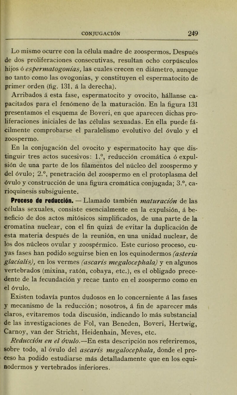 Lo mismo ocurre con la célula madre de zoospermos. Después de dos proliferaciones consecutivas, resultan ocho corpúsculos I hijos ó espermatogonias, las cuales crecen en diámetro, aunque I no tanto como las ovogonias, y constituyen el espermatocito de ! primer orden (fig. 131, á la derecha). Arribados á esta fase, espermatocito y ovocito, hállanse ca- I pacitados para el fenómeno de la maturación. En la figura 131 i presentamos el esquema de Boveri, en que aparecen dichas pro- i liferaciones iniciales de las células sexuadas. En ella puede fá- : cilmente comprobarse el paralelismo evolutivo del óvulo y el 1 zoospermo. ¡ En la conjugación del ovocito y espermatocito hay que dis- j tinguir tres actos sucesivos: l.°, reducción cromática ó expul- sión de una parte de los filamentos del núcleo del zoospermo y ! del óvulo; 2.°, penetración del zoospermo en el protoplasma del I óvulo y construcción de una figura cromática conjugada; 3.°, ca- ' rioquinesis subsiguiente. Proceso de reducción. — Llamado también maturación de las células sexuales, consiste esencialmente en la expulsión, á be- j neficio de dos actos mitósicos simplificados, de una parte de la i cromatina nuclear, con el fin quizá de evitar la duplicación de I esta materia después de la reunión, en una unidad nuclear, de los dos núcleos ovular y zoospérmico. Este curioso proceso, cu- 5'as fases han podido seguirse bien en los equinodermos (asteria glaciaUs), en los vermes (ascaris megalocephala) y en algunos vertebrados (mixina, ratón, cobaya, etc.), es el obligado prece- dente de la fecundación y recae tanto en el zoospermo como en el óvulo. Existen todavía puntos dudosos en lo concerniente á las fases y mecanismo de la reducción; nosotros, á fin de aparecer más claros, evitaremos toda discusión, indicando lo más substancial de las investigaciones de Fol, van Beneden, Boveri, Hertwig, Carnoy, van der Stricht, Heidenhain, Meves, etc. Reducción en el óvulo.—En esta descripción nos referiremos, sobre todo, al óvulo del ascaris megalocephala, donde el pro- ceso ha podido estudiarse más detalladamente que en los equi- nodermos y vertebrados inferiores.