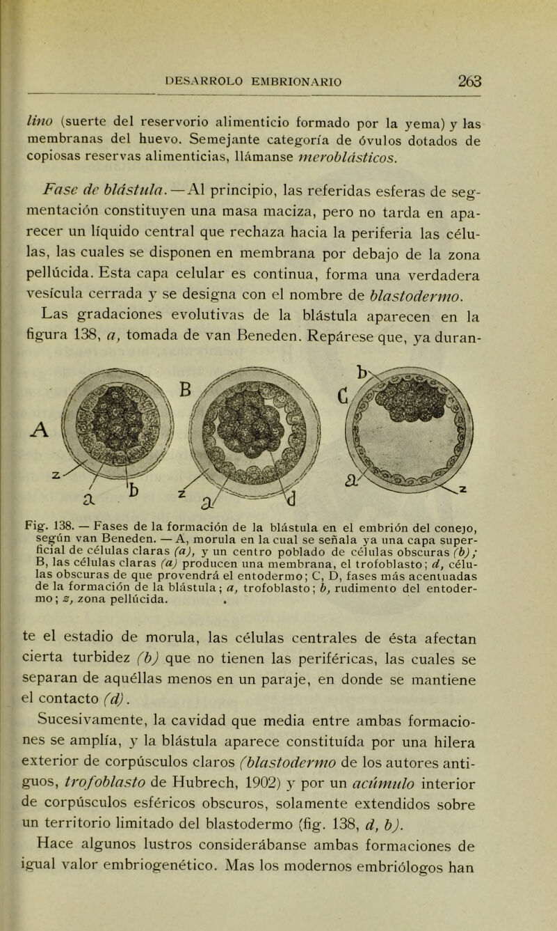 lino (suerte del reservorio alimenticio formado por la yema) y las membranas del huevo. Semejante categoría de óvulos dotados de copiosas reservas alimenticias, llámanse nieroblásticos. Fase de blástula.—A\ principio, las referidas esferas de seg- mentación constitnt^en una masa maciza, pero no tarda en apa- recer un líquido central que rechaza hacia la periferia las célu- las, las cuales se disponen en membrana por debajo de la zona pellúcida. Esta capa celular es continua, forma una verdadera vesícula cerrada y se designa con el nombre de blastodermo. Las gradaciones evolutivas de la blástula aparecen en la figura 138, a, tomada de van Beneden. Repárese que, ya duran- Fig. 138. — Fases de la formación de la blástula en el embrión del conejo, según van Beneden. —A, mórula en la cual se señala ya una capa super- ficial de células claras (a), y un centro poblado de células obscuras (b); B, las células claras (a) producen una membrana, el trofoblasto; d, célu- las obscuras de que provendrá el entodermo; C, D, fases más acentuadas de la formación de la blástula; a, trofoblasto; b, rudimento del entoder- mo; s, zona pellúcida. te el estadio de mórula, las células centrales de ésta afectan cierta turbidez (b) que no tienen las periféricas, las cuales se separan de aquéllas menos en un paraje, en donde se mantiene el contacto (d). Sucesivamente, la cavidad que media entre ambas formacio- nes se amplía, y la blástula aparece constituida por una hilera exterior de corpúsculos claros (blastodermo de los autores anti- guos, trofoblasto de Hubrech, 1902) y por un acumulo interior de corpúsculos esféricos obscuros, solamente extendidos .sobre un territorio limitado del blastodermo (fig. 138, d, b). Hace algunos lustros considerábanse ambas formaciones de igual valor embriogenético. Mas los modernos embriólogos han