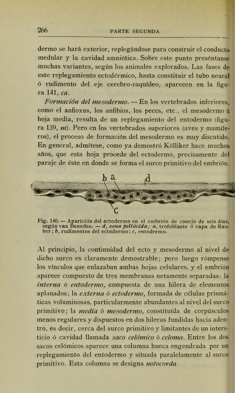 dermo se hará exterior, replegándose para construir el conducto medular y la cavidad amniótica. Sobre este punto preséntanse muchas variantes, según los animales explorados. Las fases de este replegamiento ectodcrmico, hasta constituir el tubo neural ó rudimento del eje cerebro-raquídeo, aparecen en la figu~ ra 141, ca. Formación del mesodermo. — En los vertebrados inferiores^ como el anfioxus, los anfibios, los peces, etc., el mesodermo ú hoja media, resulta de un replegamiento del entodermo (figu- ra 139, m). Pero en los vertebrados superiores (aves y mamífe- ros), el proceso de formación del mesodermo es muy discutido. En general, admítese, como ya demostró Kolliker hace muchos años, que esta hoja procede del ectodermo, precisamente del paraje de éste en donde se forma el surco primitivo del embrión. Fig. 140. —Aparición del ectodermo en el embrión de conejo de seis días, según van Beneden. — d, zona pellúcida; a, trofoblasto ó capa de Rau- ber; b, rudimentos del ectodermo; c, entodermo. Al principio, la continuidad del ecto y mesodermo al nivel de dicho surco es claramente demostrable; pero luego rómpense los vínculos que enlazaban ambas hojas celulares, y el embrión aparece compuesto de tres membranas netamente separadas: la interna ó entodermo, compuesta de una hilera de elementos aplanados; la externa ó ectodermo, formada de células prismá- ticas voluminosas, particularmente abundantes al nivel del surco primitivo; la media ó mesodermo, constituida de corpúsculos menos regulares y dispuestos en dos hileras fundidas hacia aden- tro, es decir, cerca del surco primitivo y limitantes de un inters- ticio ó cavidad llamada saco celómico ó celoma. Entre los dos .sacos celómicos aparece una columna hueca engendrada por un replegamiento del entodermo y situada paralelamente al surco primitivo. Esta columna se designa notocorda.