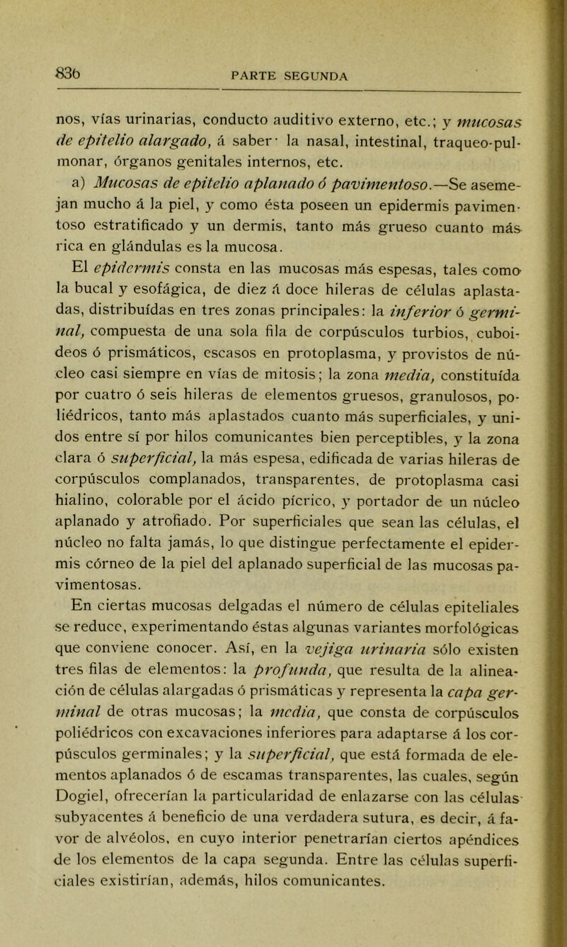 83b nos, vías urinarias, conducto auditivo externo, etc.; y mucosas de epitelio alargado, á saber- la nasal, intestinal, traqueo-pul- monar, órganos genitales internos, etc. a) Mucosas de epitelio aplanado ó pavimentoso.Se. aseme- jan mucho á la piel, y como ésta poseen un epidermis pavimen- tóse estratificado y un dermis, tanto más grueso cuanto más rica en glándulas es la mucosa. El epidermis consta en las mucosas más espesas, tales como la bucal y esofágica, de diez á doce hileras de células aplasta- das, distribuidas en tres zonas principales: la inferior ó germi- nal, compuesta de una sola fila de corpúsculos turbios, cuboi- deos ó prismáticos, escasos en protoplasma, y provistos de nú- cleo casi siempre en vías de mitosis; la zona media, constituida por cuatro ó seis hileras de elementos gruesos, granulosos, po- liédricos, tanto más aplastados cuanto más superficiales, y uni- dos entre sí por hilos comunicantes bien perceptibles, y la zona clara ó superficial, la más espesa, edificada de varias hileras de corpúsculos complanados, transparentes, de protoplasma casi hialino, colorable por el ácido pícrico, y portador de un núcleo aplanado y atrofiado. Por superficiales que sean las células, el núcleo no falta jamás, lo que distingue perfectamente el epider- mis córneo de la piel del aplanado superficial de las mucosas pa- vimentosas. En ciertas mucosas delgadas el número de células epiteliales se reduce, experimentando éstas algunas variantes morfológicas que conviene conocer. Así, en la vejiga urinaria sólo existen tres filas de elementos; la profunda, que resulta de la alinea- ción de células alargadas ó prismáticas y representa la capa ger- minal de otras mucosas; la media, que consta de corpúsculos poliédricos con excavaciones inferiores para adaptarse á los cor- púsculos germinales; y la superficial, que está formada de ele- mentos aplanados ó de escamas transparentes, las cuales, según Dogiel, ofrecerían la particularidad de enlazarse con las células .subyacentes á beneficio de una verdadera sutura, es decir, á fa- vor de alvéolos, en cuyo interior penetrarían ciertos apéndices de los elementos de la capa segunda. Entre las células superfi- ciales existirían, además, hilos comunicantes.