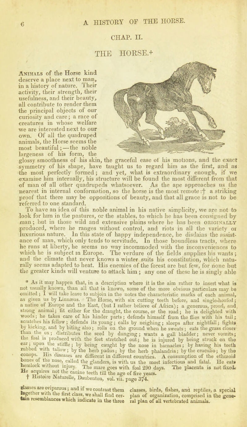 <5 CHAP. II. THE nORSE.+ Animals of the Horse kind deserve a place next to man, in a history of nature. Their activity, their strength, tlieir usefulness, and their beauty, all contribute to render them the principal objects of our curiosity and care ; a race of creatures in whose welfare we are interested ne.xt to our own. Of all the quadruped animals, the Horse seems the most beautiful; — the noble largeness of his form, the glossy smoothness of his skin, the graceful ease of his motions, and the exact symmetry of his shape, have taught us to regard him as the first, and as the most perfectly formed; and yet, what is extraordinary enough, if we examine him internally, his structure will be found the most different from that of man of all other quadrupeds whatsoever. As the ape approaches us the nearest in internal conformation, so the horse is the most remote :f a striking proof that there may be oppositions of beauty, and that all grace is not to be referred to one standard. To have an idea of this noble animal in his native simplicity, we are not to look for him in the pastures, or the stables, to which he has been consigned by man; but in those wild and extensive plains where he has been originally firoduced, vvhere he ranges without control, and riots in all the variety or uxurious nature. In this state of happy independence, he disdains the assist- ance of man, which only tends to servitude. In those boundless tracts, where he runs at liberty, he seems no way incommoded with the inconveniences to which he is subject in Europe. The verdure of the fields supplies his wants; and the climate that never knows a winter suits his constitution, which natu- rally seems adapted to heat. His enemies of the forest are but few, for rione but the greater kinds will venture to attack him ; any one of these he is singly able * As it may happen that, in a description where it is the aim rather to insert what is not usually known, than all that is known, some of the more obvious particulars may be omitted ; I will take leave to subjoin in the notes the characteristic marks of each animal, as given us by Liniueus. The Horse, with six cutting teeth before, and single-hoofed; a native of Europe and the East, (but 1 rather believe of Africa); a generous, proud, and, strong animal; fit either for the draught, the course, or the road; he is delighted with woods; he takes care of his hinder parts; defends himself from the flies with his tail; scratches his fellow ; defends its young ; calls by neighing; sleeps after nightfall; fighta by kicking, and by biting also; rolls on the ground when he sweats; eats the grass closer than the ox; distributes the seed by dunging; wants a gall blarlder; never vomits; the foal is produced with the feet stretched out; he is injured by being struck on tho \ stiffle; by being caught by the nose in barnacles; by having his teeth lubbed with tallow; by the herb padus; by the herb phalandria; by the cruculio; by the conops. His diseases are diflferent in different countries. A consumption of the ethmoid bones of the nose, called the glanders, is with us the most infectious and fatal. He eat* ^mlock without injuiy'. The mare goes with foal 290 days. The placenta is not fixeiL e Inquires not the canine teeth till the age of five years, t Histoire NatureUe, Daubenton, vol. vii. page 374. passes are oviparous; and if we contrast them classes, birds, fishes, ana reptiles, a special wge er with the first class, we shall find cer- plan of organization, comprised in the gene- resemblances which indicate in the three ral plan of all vertebrated animals.