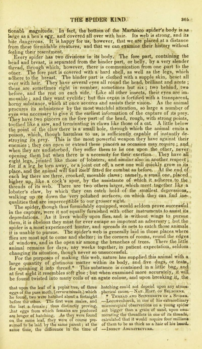 tionabi magnitude. In fact, the bottom of the Martinico ■pider's body is as krge as a hen's egg, and covered all over with hair. Its web is strong, and its bite dangerous. It is happy for us, however, that we are placed at a distance from these formidable creatures, and that we can examine their history without feeling their resentment. , , Every spider has two divisions in its body. The fore part, containing the head and breast, is separated from the hinder part, or belly, by a very slender thread, through which, however, there is communication from one part to the otner. The fore part is covered with a hard shell, as well as the legs, which adhere to the breast. The hinder part is clothed with a supple skin, beset all over with hair. They have several eyes all round the head, brilliant and acute ; these are sometimes eight in numbe^ sometimes but six ; two behind, two before, and the rest on each side. Like all other insects, their eyes are im- movable ; and they want eyelids; but this organ is fortified with a transparent, horny substance, which at once secures and assists their vision. As the animal procures its subsistence by the most watchful attention, so large a number of eyes was necessary to give it the earliest information of the capture of its prey. They have two pincers on the fore part of the head, rou^h, with strong points, toothed like a saw, and terminating in claws like those ot a cat A little below the point of the claw there is a small hole, through which the animal emits a poison, which, though harmless to us, is suflBciently capable of instantly d^ stroying its prey. This is the most powerful weapon they have against their enemies ; they can open or extend these pincers as occasion may require ; and when they are undisturbed, they suffer them to lie one upon the other, never opening them but when there is a necessity for their exertion. They have all eight legs, jointed like those of lobsters, and similar also in another respect; for if a leg be torn away, or a joint cut off, a new one will quickly grow in its place, and the animal will find itself fitted for combat as before. At the end of each leg there are three, crooked, movable claws; namely, a small one, placed higher up, like a cock’s spur, by the assistance of which it adheres to the threads of its web. There are two others larger, which meet together like a lobster’s claw, by which they can catch hold of the smallest depressions, walking up or down the very polished surfaces, on which they can find ine- qualities that are imperceptible to our grosser sight. The spider, though thus formidably equipped, would seldom prove successful in the capture, were it not equally furnished with other instruments to assist its depredations. As it lives wholly upon flies, and is without wings to pursue them, it is obvious they must for ever escape so impotent an adversary ; but the spider is a most experienced hunter, and spreads its nets to catch those animals it is unable to pursue. The spider’s web is generally laid in those places where flies are most apt to come and shelter; in the corners of rooms, round the edges of windows, and in the open air among the branches of trees. There the little animal remains for days, nay weeks together, in patient expectation, seldom changing its situation, though never so unsuccessful. • i • i For the purposes of making this web, nature has supplied this animal with a large quantity of glutinous matter within its body, and five dugs, or teats, for spinning it into thread.^ This substance is contained in a little bag^ and at first sigiit it resembles soft glue ; but when examined more accurately, it will be found twisted into many coils of an agate colour, and upon breaking it, the that upon the leaf of a poplar tree, of three hatching could not depend upon any atmo*. ejrgs of the puss moth, {ceruravinuln,) which phetical cause.—Nat. Hist, ov Sblbornb. he found, two were hatched about a fortnight • Thread anu Spinnbrbts of a Spidbh. before the other. The first were males, and —Leeuwenhoeck, in one of his extraordinary the last a female; thus distinctly proving, microscopical observations on a young spider Jiat eggs from which females are produced not bigger than a grain of sand, upon enu- are longer of hatching. As they were found merating the threadlets in one of its threes, on the same leaf, they were of course pre- calculated that it would require four millions Burned to be laid by the same parent; at the of them to be as thick as a hair of his beard, same time, the difl'erence in the time of —Insect Ahcuitkctuhe.