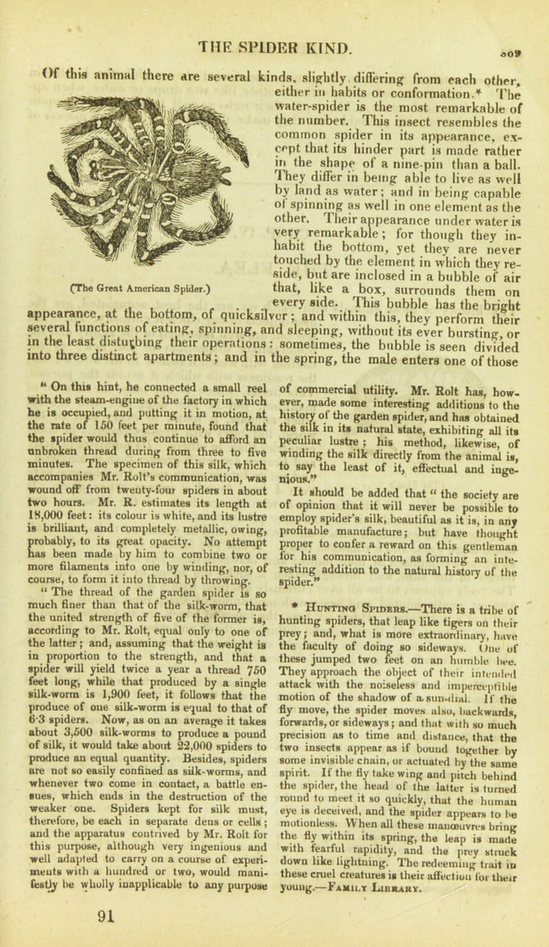 Of tins animal there are several kinds, slightly differing from each other, either in habits or conformation.* The water-spider is the most remarkable of the number. This insect resembles the common spider in its appearance, ex- cept that its hinder part is made rather in the shape of a nine-pin than a ball. They differ in being able to live as well by land as water; and in being capable of spinning as well in one element as the other. Their appearance under water is very remarkable; for though they in- habit the bottom, yet they are never touched by the element in which they re- side, but are inclosed in a bubble of air (The Great American Spider.) that, like a box, surrounds them on every side. This bubble has the bright appearance, at the bottom, of quicksilver; and within this, they perform their several functions of eating, spinning, and sleeping, without its ever bursting or in the least distuibing their operations: sometimes, the bubble is seen divided into three distinct apartments; and in the spring, the male enters one of those “ On this hint, he connected a small reel with the steam-engine of the factory in which ho is occupied, and putting it in motion, at the rate of 150 feet per minute, found that the spider would thus continue to afford an nnbroken thread during from three to five minutes. The specimen of this silk, which accompanies Mr. Rolfs communication, was wound off from twenty-four spiders in about two hours. Mr. R. estimates its length at 18,000 feet: its colour is white, and its lustre is brilliant, and completely metallic, owing, probably, to its great opacity. No attempt has been made by him to combine two or more filaments into one by winding, nor, of course, to form it into thread by throwing. “ The thread of the garden spider is so much finer than that of the silk-worm, that the united strength of five of the former is, according to Mr. Rolt, equal only to one of the latter; and, assuming that the weight is in proportion to the strength, and that a spider will yield twice a year a thread 750 feet long, while that produced by a single silk-worm is 1,900 feet, it follows that the produce of one silk-worm is equal to that of 6'3 spiders. Now, as on an average it takes about 3,500 silk-worms to produce a pound of silk, it would take about 22,000 spiders to produce an equal quantity. Besides, spiders are not so easily confined as silk-worms, and whenever two come in contact, a battle en- sues, which ends in the destruction of the weaker one. Spiders kept for silk must, therefore, be each in separate dens or cells ; and the apparatus contrived by Mr. Rolt for this purpose, although very ingenious and well adapted to carry on a course of experi- ments with a hundred or two, would mani- fest^ be wholly inapplicable to any purpose of commercial utility. Mr. Rolt has, how- ever, made some interesting additions to the histoiT of the garden spider, and has obtained the silk in its natural state, exhibiting all its peculiar lustre; his method, likewise, of winding the silk directly from the animal is, to say the least of it, efiectual and inire- nious.’» It should be added that ** the society are of opinion that it will never be possible to employ spider’s silk, beautiful as it is, in any profitable manufacture; but have thought proper to confer a reward on this gentleman for his communication, as forming an inte- resting addition to the natural history of the spider.” • Huntinq Spiders.—There is a tribe of hunting spiders, that leap like tigers on their prey; and, what is more extraonlinary, liave the faculty of doing so sideways. One of these jumped two twt on an humble liee. They approach the object of their inleiuled attack with the noiseless and imperceptible motion of the shadow of a sun-dial. H' the fly move, the spider moves also, backwards, forwards,or sideways; and that with so much precision as to time and distance, that the two insects appear as if bound together by some invisible chain, or actuated by the same spirit. If the fly take wing and pitch behind the spider, the heail of the latter is turned round to meet it so quickly, that the human eye is deceived, and the spider appears to Ihj motionless. W hen all these inanoBuvres bring the fly within its spring, the leap is made with fearful rapidity, and the prey struck down like lightning. The redeeming trait in these cruel creatures is their afiectiou for their young.—Family LanaARY. 91