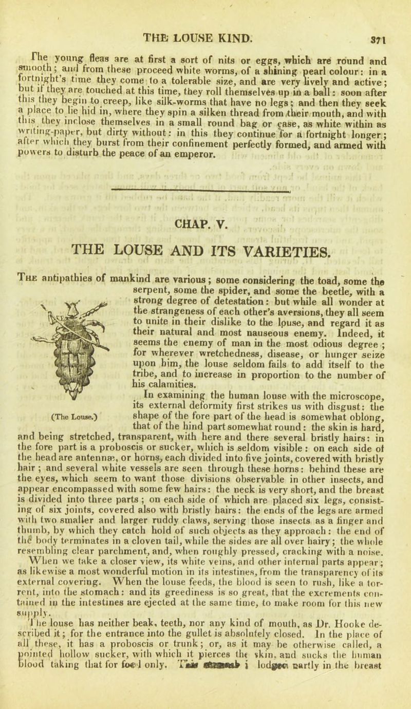 371 riie young fleas are at first a sort of nits or eggs, which are round and Miiooth; and from these proceed white worms, of a shining pearl colour: in a nirtnight s time they come to a tolerable size, and are very lively and active; but it they are touched at this time, they roll themselves up in a ball: soon after this they begin to creep, like silk-worms that have no legs; and then they seek a place to he hid in, where they spin a silken thread from/their mouth, and with this^ ttiey inclose themselves in a small round bag or case, as white within as \vnting-paprr, but dirty without: in this they continue for a fortnight longer ; after which they burst (rom their confinement perfectly formed, and armed with powers to disturb the peace of an emperor. CHAP. V. THE LOUSE AND ITS VARIETIES. The antipathies of mankind are various; some considering the toad, some the serpent, some the spider, and some the beetle, with a strong degree of detestation: but while all wonder at the strangeness of each other’s aversions, they all seem to unite in their dislike to the Ipuse, and regard it as their natural and most nauseous enemy. Indeed, it seems the enemy of man in the most odious degree ; for wherever wretchedness, disease, or hunger seize upon him, the louse seldom fails to add itself to the tribe, and to increase in proportion to the number of bis calamities. In examining the human louse with the microscope, its external deformity first strikes us with disgust: the shape of the fore part of the head is somewhat oblong, that of the hind part somewhat round: the skin is hard, and being stretched, transparent, with here and there several bristly hairs: in the fore part is a proboscis or sucker, which is seldom visible : on each side ot the head are antennm, or horns, each divided into five joints, covered with bristly hair ; and several white vessels are seen through these horns: behind these are the eyes, which seem to want those divisions observable in other insects, and appear encompassed with some few hairs: the neck is very short, and the breast js divided into three parts ; on each side of which are placed six legs, cpnsist- ing of six joints, covered also with bristly hairs: the ends of the legs are armed will: two smaller and larger ruddy claws, serving those insects as a finger and thumb, by which they catch hold of such objects as they approach: the end of tli^ body terminates in a cloven tail, while the sides are all over hairy; the whole resembling clear parchment, and, when roughly pressed, cracking with a noise. When we take a closer view, its white veins, and other internal parts appear; as likew ise a most wonderful motion in its intestines, from the transparency of its external covering. When the louse feeds, the blood is seen to rush, like a tor- rent, into the stomach: and its greediness is so great, that the excrements con- tained in the intestines are ejected at the same time, to make room for this new supply. 'I he louse has neither beak, teeth, nor any kind of mouth, as Dr. Hooke de- scribed it; for the entrance into the gullet is absolutely closed. In the place of all these, it has a proboscis or trunk; or, as it may be otherwise called, a Kn’nied hollow sucker, with which it pierces tlu skin, and sucks the linman ood taking that for foei only. 'lai* tflf niih i lodyevi cartly in the breast