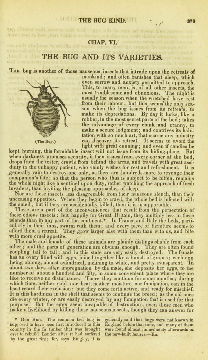 THE BUG Kim). S78 CHAP. VI. THE BUG AND ITS VARIETIES. • The bug is another of those nauseous insects that intrude upon the retreats of mankind ; and often banishes that sleep, which even sorrow and anxiety permitted to approach. This, to many men, is, of all other insects, the most troublesome and obnoxious. The night is usually the season when the wretched have rest from their labour; but this seems'the only sea- son when the bug issues from its retreats, to make its depredations. By day it lurks, like a robber, in the most secret parts of the bed; takes the advantage of every chink and cranny, to make a secure lodgment; and contrives its habi- tation with so much art, that scarce any industry can discover its retreat. It seems to avoid the light with great cunning; and even if candles be kept burning, this formidable insect will not issue from its hiding-place. But when darkness promises seciirity, it then issues from every corner of the bed, drops from the tester, crawls from behind the arras, and travels with great assi- duity to the unhappy patient, who vainly wishes for rest and refreshment. It is generally vain to destroy one only, as there are hundreds more to revenge their companion’s fate; so that the person who thus is subject to be bitten, remains the whole night like a sentinel upon duty, rather watching the approach of fresh invaders, than inviting the pleasing approaches of sleep. Nor are these insects less disagreeable from their nauseous stench, than their unceasing appetites. When they begin to crawl, the whole bed is infected with the smell; but if they are accidentally killed, then it is insupportable. These are a part of the inconveniences that result from the persecution of these odious insects: but happily for Great Britain, they multiply less in these Lslands than in any part of the continent.’^ In France and Italy the beds, parti- cularly in their inns, swarm with them; and every piec« of furniture seems to afford them a retreat. They grow larger also with them than with us, and bite with more cruel appetite. The male and female of these animals are plainly distinguishable from each other ; and the parte of generation are obvious enough. Tliey are often found coupling tail to tail; and in this state are very easily destroyed. The female has an ovary filled with eggs, joined together like a bunch of grapes; each egg being oblong, almost cylindrical, inclining to white, and pretty transparent. In about two days after impregnation by the male, she deposits her eggs, to the number of about a hundred and fifty, in some convenient place where they are like to receive no disturbance. There they continue for some months ; during which time, neither cold nor heat, neither moisture nor fumigation, can in the least retard their exclusion ; but they come forth active, and ready for mischief. It is this hardiness in the shell that seems to continue the breed ; as the old ones die every winter, or are easily destroyed by any fumigation that is used for that purpose. But the eggs seem incapable of destruction ; even those men who make a livelihood by killing those nauseous insects, though they can answer for (The Bug.) * Bku Bug.—The common bed bug is Bup;)ONed to have been iirst introduced to this country in the fir timber that was brought oVer to rebuild London after it hud suffered by the great fire; for, says Biugley, it is generally said that bugs were not known in England before that time, and many of them were found almost immediately afterwards iw. the new-built houses.—Eo.