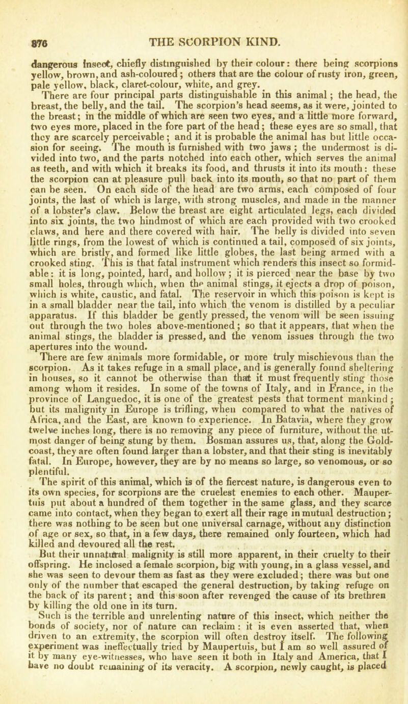 dangerous Insect, chiefly distinguislied by their colour: there being scorpions yellow, brown, and ash-coloured ; others that are the colour of rusty iron, green, pale yellow, black, claret-colour, white, and grey. _ There are four principal parts distinguishable in this animal; the head, the breast, the belly, and the tail. The scorpion’s head seems, as it were, jointed to the breast; in the middle of which are seen two eyes, and a little more forward, bvo eyes more, placed in the fore part of the head; these eyes are so small, that they are scarcely perceivable; and it is probable the animal has but little occa- sion for seeing. The mouth is furnished with two jaws ; the undermost is di- vided into two, and the parts notched into each other, which serves the animal as teeth, and with which it breaks its food, and thrusts it into its mouth: these the scorpion can at pleasure pull back into its mouth, so that no part of them can be seen. On each side of the head are two arms, each composed of four joints, the last of which is large, with strong muscles, and made in the manner of a lobster’s claw. Below the breast are eight articulated legs, each divided into six joints, the two hindmost of which are each provided with two crooked claws, and here and there covered with hair. The belly is divided into seven little rings, from the lowest of which is continued a tail, composed of six joints, which are bristly, and formed like little globes, the last being armed with a crooked sting. This is that fatal instrument which render's this insect so formid- able : it is long, pointed, hard, and hollow ; it is pierced near the base by two small holes, through which, when the animal stings, it ejects a drop of poison, which is white, caustic, and fatal. The reservoir in which this poison is kept is in a small bladder near the tail, into which the venom is distilled by a peculiar apparatus. If this bladder be gently pressed, the venom will be seen issuing out through the two holes above-mentioned; so that it appears, that when the animal stings, the bladder is pressed, and the venom issues through the two apertures into the wound. There are few animals more formidable, or more truly mischievous than the scorpion. As it takes refuge in a small place, and is generally found sheltering in houses, so it cannot be otherwise than that it must frequently sting those among whom it resides. In some of the towns of Italy, and in France, in the province of Languedoc, it is one of the greatest pests that torment mankind ; but its malignity in Europe is trifling, when compared to what the natives of Africa, and the East, are known to experience. In Batavia, where they grow twelve inches long, there is no removing any piece of furniture, without the ut- most danger of being stung by them. Bosman assures us, that, along the Gold- coast, they are often found larger than a lobster, and that their sting is inevitably fatal. In Europe, however, they are by no means so large, so venomous, or so plentiful. 'rhe spirit of this animal, which is of the fiercest nature, is dangerous even to its own species, for scorpions are the cruelest enemies to each other. Mauper- tiiis put about a hundred of them together in the same glass, and they scarce came into contact, when they began to exert all their rage in mutual destruction; there was nothing to be seen but one universal carnage, without any distinction of age or sex, so that, in a few days, there remained only fourteen, which had killed and devoured all the rest. But their unnatitral malignity is still more apparent, in their cnielty to their offspring. He inclosed a female scorpion, big with young, in a glass vessel, and she was seen to devour them as fast as they were excluded; there was but one only of the number that escaped the general destruction, by taking refuge on the back of its parent; and this soon after revenged the cause of its brethren by killing the old one in its turn. Such is the terrible and unrelenting natare of this insect, which neither the bonds of society, nor of nature can reclaim : it is even asserted that, when driven to an extremity, the scorpion will often destroy itself. The following experiment was ineffectually tried by Maupertuis, but I am so well assured of it by many eye-witnesses, who have seen it both in Italy and America, that I have no doubt roiuainiiig of its veracity. A scorpion, newly caught, is placed