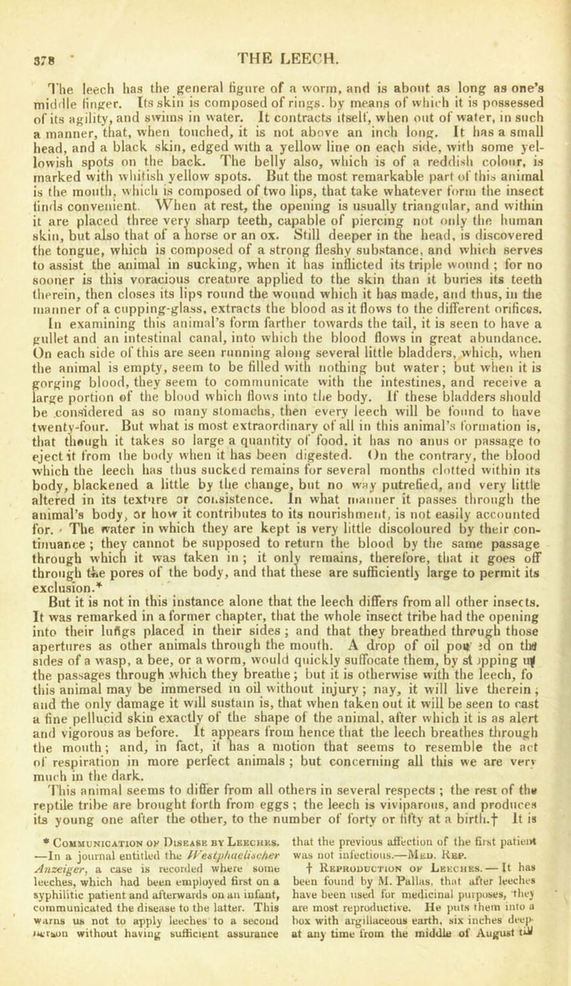 The leech has the general figure of a worm, and is about as long as one’s middle finger. Its skiti is composed of rings, by means of which it is possessed of its agility, and swims in vvater. It contracts itself, when out of water, in such a manner, that, when touched, it is not above an inch long. It has a small head, and a black skin, edged with a yellow line on each side, with some yel- lowish spots on the back. The belly also, which is of a reddish colour, is marked with whitish yellow spots. But the most remarkable part of this animal is the mouth, which is composed of two lips, that take whatever form the insect finds convenient. When at rest, the opening is usually triangular, and within it are placed three very sharp teeth, capable of piercing not only the human skin, but also that of a liorse or an ox. Still deeper in the head, is discovered the tongue, which is composed of a strong fleshy substance, and which serves to assist the animal in sucking, when it has inflicted its triple wound ; for no sooner is this voracious creature applied to the skin than it buries its teeth therein, then closes its lips round the wound which it has made, and thus, in tlie manner of a cupping-glass, extracts the blood as it flows to the different orifices. In examining this animal’s form farther towards the tail, it is seen to have a gullet and an intestinal canal, into which the blood flows in great abundance. On each side of this are seen running along several little bladders, which, when the animal is empty, seem to be filled with nothing but water; but when it is gorging blood, they seem to communicate with the intestines, and receive a large portion of the blood which flows into the body. If these bladders should be considered as so many stomachs, then every leech will be found to have twenty-four. But what is most extraordinary of all in this animal’s formation is, that theugh it takes so large a quantity of food, it has no anus or passage to eject it from the body when it has been digested. On the contrary, the blood which the leech has thus sucked remains for several months clotted within its body, blackened a little by the change, but no way putrefied, and very little altered in its texture or consistence. In what manner it passes through the animal’s body, or how it contributes to its nourishment, is not easily accounted for. ' The water in which they are kept is very little discoloured by their con- tinuance ; they cannot be supposed to return the blood by the same passage through which it was taken in ; it only remains, therefore, that it goes off through the pores of the body, and that tliese are sufBcientl) large to permit its exclusion.’^ But it is not in this instance alone that the leech differs from all other insects. It was remarked in a former chapter, that the whole insect tribe had the opening into their lurtgs placed in their sides ; and that they breatlied through those apertures as other animals through the mouth. A drop of oil poii id on tlia sides of a wasp, a bee, or a worm, would quickly suffocate them, by st ipping uiJ the passages through which they breathe; but it is otherwise with the leech, fo this animal may be immersed in oil without injury ; nay, it will live therein; and the only damage it will sustain is, that when taken out it will be seen to cast a tine pellucid skin exactly of the shape of the animal, after which it is as alert and vigorous as before. It appears from hence that the leech breathes through the mouth; and, in fact, it has a motion that seems to resemble the act of respiration in more perfect animals ; but concerning all this we are very much in the dark. 'Phis animal seems to differ from all others in several respects ; the resi of th» reptile tribe are brought forth from eggs ; the leech is viviparous, and produces its young one after the other, to the number of forty or fifty at a birth.f It is • Communication oe Disease by Leeches, that the previous affection of the first patient —In a journal entitled the fyentphuelincher was not infectious.—Meu. Kbp. Anzeiger, a case is recorded where some t Reproduction of Leeches. — It has leeches, which had been employed first on a been found by M. Pallas, that after leeches syphilitic patient and afterwards on an infant, have been used for medicinal purposes, they communicated the disease to the latter. This are most reproductive. He jnits them into a warns us not to apply leeches to a second box with argillaceous earth, six inches deep iM:rsun without having sufficient assurance at any time from the middle of August tfU
