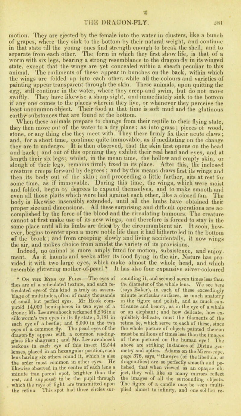 motion. They are ejected by the female into the water in clusters, like a bunc h of grapes, where they sink to the bottom by their natural weight, and continue in that state till the young ones find strength enough to break the shell, and to separate from each other. The form in which they first show life, is that of a worm with six legs, bearing a strong resemblance to the dragon-fly in its winged state, exc^t that the wings are yet concealed within a sheath peculiar to this animal. The rudiments of these appear in bunches on the back, within which the wings are folded up into each other, while all the colours and varieties of painting appear transparent through the skin. These animals, upon quitting the egg, still continue in the water, where they creep and swim, but do not move swiftly. They have likewise a sharp sight, and immediately sink to the bottom if any one comes to the places wherein they live, nr whenever they perceive the least uncommon object. Their food at that time is soft mud and the glutinous earthw substances that are found at the bottom. When these animals prepare to change from their reptile to their flying state, they then move out of the water to a dry place ; as into grass; pieces of wood, stone, or any thing else they meet with. They there firmly fix their acute claws; and, for a short time, continue quite immovable, as if meditating on the change they are to undergo. It is then observed, that the skin first opens on the head and back ; and out of this opening they exhibit their real head and eyes, and at length their six legs; whilst, in the mean time, the hollow and empty skin, or slough of their legs, remains firmly fixed in its place. After this, the inclosed creature creeps forward by degrees ; and by this means draws first its wings and then its body out of the skin; and proceeding a little farther, sits at rest for some time, as if immovable. During this time, the wings, which were moist and folded, begin b> degrees to expand themselves, and to make smooth and even all those plaits which were laid against each other, like a closed fan. The body is likewise insensibly extended, until all the limbs have obtained their proper size and dimensions. All these surprising and diflicult operations are ac- complished by the force of the blood and the circulating humours. The creature cannot at first make use of its new vvings, and therefore is forced to stay in the same place until all its limbs are drie« by the circumambient air. It soon, how- ever, begins to enter upon a more noble life than it had hitherto led in the bottom •f the brook; and from creeping slowly and living accidentally, it now wings the air, and makes choice from amidst the variety of its provisions. Indeed, no animal is more amply fitted for motion, subsistence, and enjoy- ment. As it haunts and seeks after its food flying in the air. Nature has pro- vided it with two large eyes, whicli make almost the whole head, and which resemble glittering mother-of-pearl * It has also four expansive silver-coloured * On the EYK.S OF Flies.—The eyes of flies are of a reticulated texture, and each re- ticulated eye of this kind is truly an assem- blage of multitudes, often of many thousands of small but perfect eyes. Mr. Hook com- puted 14,000 hemispheres in two eyes of a drone ; Mr. Leeuwenhoeck reckoned 6,2.'i6 in a silk-worm’s two eyes in its fly state ; 3,181 in each eye of a beetle; and 8,000 in the two eyes of a common fly. The pearl eyes of the dragon fly appear with a common reading- glass like shagreen ; and Mr. Leeuwenhoeck reckons in each eye of this insect 12,544 lenses, placed in an hexangular position, each lens having six others round it, which is also the order most common in other eyes. He likewise obser\'ed in the centre of each lens a minute tran parent spot, brighter than the rest, and supposed to be the pupil through which the rays of light are transmitted upon the retina This spot hud three circles sur- rounding it, and seemed seven times less than the diameter of the whole lens. We see here (says Bakerj, in each of these exceedingly minute lenticular surfaces, as much anatoiry in the figure and polish, and as much con- trivance and beauty, as in the eye of a whale or an elephant; and how delicate, how ex- quisitely delicate, must the filaments of the retina be, which serve to each of these, since the whole picture of objects painted thereon must be millions of times less than the iina-’-es of them pictured on the human eye! The above are striking instances of Divine geo- metry and optics. Adams on the Micro-cope, page 376, says, “ the eyes (of the libellula, or dragon-flies) are so perfectly smooth and po- lished, that when viewed as an opaque ob- ject, they will, like so many mirrors, reflect the images of all the surrounding objects. The figure of a candle may be .seen multi- plied almost to infinity, and one soldier re-