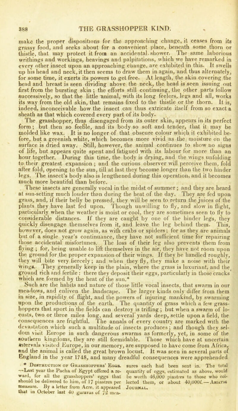 make the proper dispositions for the approaching change, it ceases from its grassy food, and seeks about for a convenient place, beneath some thorn or thistle, that may protect it from an accidental-sliower. The same laborious writhings and workings, heavings and palpitations, which we have remarked in every other insect upon an approaching cUange, are exhibited in this. It swells up his head and neck, it then seems to draw them in again, and thus alternately, for some time, it exerts its powers to get free. At length, the skin covering the head and breast is seen dividing above the neck, the head is seen issuing out first from the bursting skin ; the efforts still continuing, the other parts follow Successively, so that the little animal, with its long feelers, legs and all, works its way from the old skin, that remains fixed to the thistle or the thorn. It is, indeed, inconceivable how the insect can thus extricate itself from so exact a sheath as that which covered every part of its body. The grasshopper, thus disengaged from its outer skin, appears in its perfect form; but then so feeBle, and its body so soft and tender, that it may be molded like wax. It is no longer of that obscure colour which it exhibited be- fore, but a greenish white, which becomes more vivid as the moisture on the surface is dried away. Still, however, the animal continues to show no signs of life, but appears quite spent and fatigued with its labour for more than an hour together. During this time, the body is drying, and the wings unfolding to their greatest expansion ; and the curious observer wilt perceive them, fold after fold, opening to the sun, till at last they become longer than the two hinder legs. The insect’s body also is lengthened during this operation, and it becomes much more beautiful than before. These insects are generally vocal in the midst of summer; and they are heard at sun-setting much louder than during the heat of the day. They are fed upon grass, and, if their belly be pressed, they will be seen to return the juices of the plants they have last fed upon. Though unwilling to fly, and slow in flight, particularly when the weather is moist or cool, they are sometimes seen to fly to considerable distances. If they are caught by one of the hinder legs, they quickly disengage themselves from it, and leave the leg behind them. This, however, does not grow again, as with crabs or spiders; for as they are animals but of a single year’s continuance, they have not sufficient time for repairing those accidental misfortunes. The loss of their leg also prevents them from flying ; for, being unable to lift themselves in the air, they have not room upon the ground for the proper expansion of their wings. If they be handled roughly, they will bite very fiercely; and when they fly, they make a noise with their wings. They generally keep in the plain, where the grass is luxuriant, and the^ ground rich and fertile : there they deposit their eggs, particularly in those cracks' which are formed by the heat of the suii.^ Such are the habits and nature of those little vocal insects, that swarm in our meadows, and enliven the landscape. The larger kinds only differ from them in size, in rapidity of flight, and the powers of injuring mankind, by swarming upon the productions of the earth. The quantity of grass which a few grass- hoppers that sport in the fields can destroy is trifling; but when a swarm of lo- custs, two or three miles long, and several’ yards deep, settle upon a field, the consequences are frightful. The annals of every country are marked with the devastation which such a multitude of insects produces; and though they sel- dom visit Europe in such dangerous swarms as formerly, yet, in some of the ■outlicru kingdoms, they are still formidable. 'Those which have at uncertain •itervals visited Europe, in our memory, are supposed to have come from Africa, and tlie animal is called the great brown locust. It was seen in several parts of England in the year 1748, and many dreadful consequences were apprehended * Dbiitruction ok OiiASSHOPPERs’ Eoas. sures each had been sent in. The total —Last year the Pacha of Egypt offered a re- quantity of eggs, estimated as above, would ward, for all the grasshoppers’ eggs that be worth 46,000 piastres to those who col- should be delivered to him, of 1 ^ piastres per lected them, or about 40,000/. — Asiatic measure. By a letter from Acre, it appeared Journal. that in October last 40 garavas of 72 mea-