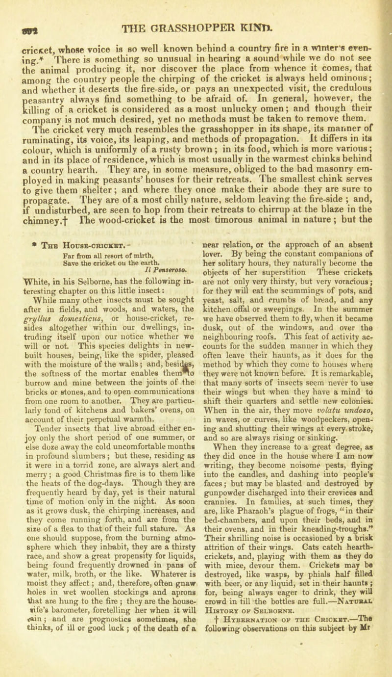 094 crictet, whose voice is so well known behind a country fire in a winter's even- ing.''^ There is something so unusual in hearing a sound while we do not see the animal producing it, nor discover the place from whence it comes, that among the country people the chirping of the cricket is always held ominous; and whether it deserts the fire-sids, or pays an unexpected visit, the credulous Eeasautry always find something to be afraid of. In general, however, the filing of a cricket is considered as a most unlucky omen; and though their company is not much desired, yet no methods must be taken to remove them. The cricket very much resembles the grasshopper in its shape, its manner of ruminating, its voice, its leaping, and methods of propagation. It differs in its colour, which is uniformly of a rusty brown ; in its food, which is more various; and in its place of residence, which is most usually in the warmest chinks behind a country hearth. They are, in some measure, obliged to the bad masonry em- ployed in making peasants’ houses for their retreats. The smallest chink serves to give them shelter; and where they once make their abode they are sure to propagate. They are of a most chilly nature, seldom leaving the fire-side ; and, if undisturbed, are seen to hop from their retreats to chirrup at the blaze in the chimney.f fhe wood-cricket is the most timorous animal in nature; but the • Tub Hodse-crickbt.- Far from all resort of mirth, Save the cricket ou the earth. II PMSeroto, White, in his Selborne, has the following in- teresting chapter on this little insect: While many other insects must be sought after in fields, and woods, and waters, the grylliu domesticus, or house-cricket, re- sides altogether within our dwellings, in- truding itself upon our notice whether we will or not This species delights in new- built houses, being, like the spider, pleased with the moisture of the walls; and, besic^s, the softness of the mortar enables them*to burrow and mine between the joints of the bricks or stones, and to open communications from one room to another. They are particu- larly loud of kitchens and bakers’ ovens, on account of their perpetual warmth. Tender insects that live abroad either en- joy only the short period of one summer, or else doze away the cold uncomfortable months in profound slumbers; but these, residing as it were in a torrid zone, are always alert and merry; a good Christmas fire is to them like the heats of the dog-<lays. Though they are frequently heard by day, yet is their natural time of motion only in the night. As soon as it grows dusk, the chirping increases, and they come running forth, and are from the size of a flea to that of their full stature. As one should suppose, from the burning atmo- sphere which they inhabit, they are a thirsty race, and show a great propensity for liquids, being found frequently drowned in pans of water, milk, broth, or the like. Whatever is moist they afiect; and, therefore, often gnaw holes in wet woollen stockings and aprons that are hung to the fire ; they are the house- si fo’s barometer, foretelling her when it will <ain; and are prognostics sometimes, she thinks, of ill or good luck ; of the death of a near relation, or the approach of an absent lover. By being the constant companions of her solitary hours, they naturally become the objects of her superstition These crickets are not only very thirsty, but very voracious; for they will eat the scummings of pots, and east, salt, and crumbs of bread, and any itchen offal or sweepings. In the summer we have observed them to fly, when it became dusk, out of the windows, and over the neighbouring roofs. This feat of activity ac- counts for the sudden manner in which they often leave their haunts, as it does for the method by which they come to houses where they were not known before. It is remarkable, that many sorts of insects seem never to use their wings but when they have a mind to shift their quarters and settle new colonies. When in the air, they move volatu undoto, in waves, or curves, like woodpeckers, open- ing and shutting their wings at every, stroke, and so are always rising or sinking. When they increase to a great degree, as they did once in the house where I am now writing, they become noisome pests, flying into the candles, and dashing into people’s faces; but may be blasted and destroyed by gunpowder discharged into their crevices and crannies. In families, at such times, they are, like Pharaoh’s plague of frogs, “ in their bed-chambers, and upon their beds, and in their ovens, and in their kneading-troughs.” Their shrilling noise is occasioned by a brisk attrition of their wings. Cats catch hearth- crickets, and, playing with them as they do with mice, devour them. Crickets may bo destroyed, like wasps, by phials half filled with beer, or any liquid, set in their haunts ; for, being always eager to drink, they will crowd in till the bottles are full.—Natbiu.l History ov Sblborrb. f Hybernation ov the Cricket.—The following observations on this subject by Mr