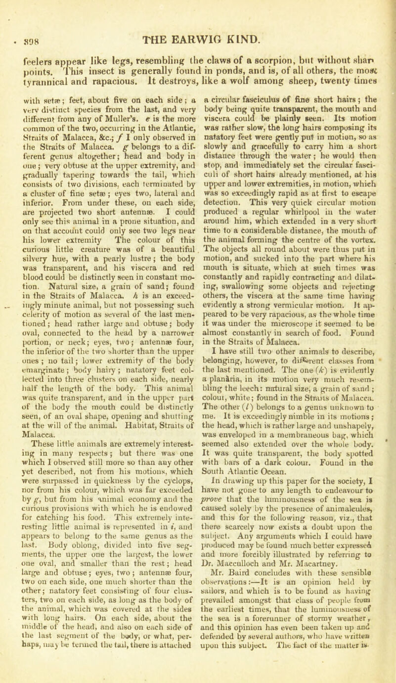 . S98 feelers appear like legs, resembling llie claws of a scorpion, but without slian points. This insect is generally found in ponds, and is, of all others, the mosc tyrannical and rapacious. It destroys, like a wolf among sheep, twenty times with set®; feet, about five on each side; a ver\’ distinct species from the la.st, and very different from any of Muller’s, e is the more common of the two, occurring in the Atlantic, Straits of Malacca, &c.; / I only observed in the Straits of Malacca, ^belongs to a dif- ferent genus altogether; head and body in one ; very obtuse at the upper extremity, and gradually tapering towards the tail, which consists of two divisions, each terminated by a cluster of fine setae ; eyes two, lateral and inferior. From under these, on each side, are projected two short antennae. I could only see this animal in a prone situation, and on that account could only see two legs near his lower extremity The colour of this curious little creature was of a beautiful silvery hue, with a pearly lustre; the body was transparent, and his viscera and red blood could be distinctly seen in constant mo- tion. Natural size, a grain of sand; found in the Straits of Malacca, h is an exceed- ingly minute animal, but not possessing such celerity of motion as several of the last men- tioned ; head rather large and obtuse; body oval, connected to the head by a narrower portion, or neck; eyes, two; antenn® four, the inferior of the two shorter than the upper ones ; no tail; lower extremity of the body emarginate; body hairy ; natatory feet col- lected into three clusters on each side, nearly half the length of the body. This animal was (juite transparent, and in the upper part of the body the mouth could be distinctly seen, of an oval shape, opening and shutting at the will of the animal. Habitat, Straits of Malacca. These little animals are extremely interest- ing in many respects; but there was one which 1 observed still more so than any other yet described, not from his motions, which were surpassed in quickness by the Cyclops, nor from his colour, which was far exceeded by g, but from his animal economy and the curious provisions with which he is endowed for catching his food. This extremely inte- resting little animal is represented in i, and appears to belong to the same genus as the last. Body oblong, divided into five seg- ments, the upper one the largest, the lower one oval, and smaller than the rest; head large and obtuse; eyes, two; anteun® four, two on each side, one much shorter than the other; natatory feet consisting of four clus- ters, two on each side, as long as the body of the animal, which was covered at the sides with long hairs. On each side, about the middle of the head, and also on each side of the last segment of the butly, or what, per- haps, Ilia) lie termed the tail, there is attached a circular fasciculus of fine short hairs ; the body being quite transparent, the mouth and viscera could be plainly seen. Its motion was rather slow, the lung hairs composing its natatory feet were gently put in motion, so as slowly and gracefully to carry him a short distance through the water; he would then stop, and immediately set the circular fasci- culi of short hairs already mentioned, at his upper and lower extremities, in motion, which was so exceedingly rapid a,s at first to escape detection. This very quick circular motion produced a regular whirlpool in the water around him, which extended in a very short time to a considerable distance, the mouth of the animal forming the centre of the vortex. The objects all round about were thus put in motion, and sucked into the part where his mouth is situate, which at such times was constantly and rapidly contracting and dilat- ing, swallowing some objects and rejecting others, the viscera at the same time having evidently a strong vermicular motion. It aji- peared to be very rapacious, as the whole time it was under the microscope it seemed to be almost constantly in search of food. Found in the Straits of Malacca. 1 have still two other animals to describe, belonging, however, to dif*«rent classes from the last mentioned. The one (it) is evidently a planiria, in its motion very much resem- bling the leech: natural size, a grain of sand ; coloui, white; found in the Straits of Malacca. The other (/) belongs to a genus unknown to mo. It is exceedingly nimble in its motions ; the head, which is rather large and unshapely, was enveloped in a membraneous bag, which seemed also extended over the whole body. It was quite transparent, the body spotted with bars of a dark colour. Found in the South Atlantic Ocean. In drawing up this paper for the society, I have not gone to any length to endeavour to prove that the luminousness of the sea is caused solely by the presence of animalcules, and this for the following re<ison, viz., that there scarcely now exists a doubt upon the subject. Any arguments which I could have produced may be found much better expressed and more forcibly illustrated by referring to Dr, Macculloch and Mr. Macartney. Mr. Baird concludes with these sensible observations:—It is an ojiinion held by sailors, and which is to be found as having prevailed amongst that class of people from the earliest time.s, that the luminousness of the sea is a forerunner of stormy weather, and this opinion has even been taken up and defended by several authors, who have written upon this subject The fact of the matter is.