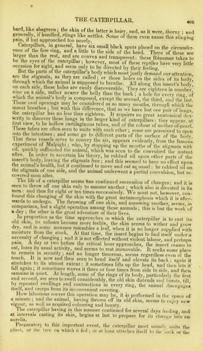 *'n ® of the latter is hairy, and, as it were, thorny ; and generally, if handled, flings like nettles. Some of them even eaiise this stinging pain, if but approached too nearly. ^ ® Caterpillars, in general, have six small black spots placed on the circumfer- ence of the fore nng, and a little to the side of the head. Three of these are larger than the rest, and are convex and transparent: these Reaumur takes to be the eyes of the caterpillar; however, most of these reptiles have very little occasion for sight, and seem only to be directed by their feeling. ^ the caterpillar’s body which most justly demand our attention, are the stigmata, as thev are called ; or those holes on the sides of its body! through which the animal is supposed to breathe. All along tins insect’s body on each side these holes are easily discoverable. 'I'liey are eighteen in number nine on a side, rather nearer the belly than the back ; a hole for every ring, of w uch the animal s body is composed, except the second, the third, and the last these oval openings mav be considered as so many mouths, through which the insect brea hes ; but with this difference, that as we have but one pair of lungs, Oie caterpillar has no less than eighteen. It requires no great anatomical dex- tenty to discover these lungs in the larger kind of caterpillars: they appear at hrst view to be hollow cartilaginous tubes, and of the colour of mother-of-pearl. hese tubes are often seen to unite with each other ; some are perceived to open mto the intestines; and some go to different parts of the surface of the body I hat these vessels serve to convey the air, appears evidently, from the famous- experiment of Malpighi ; who, by stopping up the mouths of the stigmata with oh, quickly suffocated the anunal, which was seen to die convulsed the instant after. In order to ascertain his theory, he rubbed oil upon other parts of the insect s hody, leaving the stigmata free ; and this seemed to have no effect upon- the animal s health, but it continued to move and eat as usual; he rubbed oilon the stigmata of one side, and the animal underwent a partial convulsion, but re- covered soon after. The life of a caterpillar seems 6ne continued succession of changes; and it is seen to throw off one skin only to assume another ; which also is aivested in its- : and thus for eight or ten times successively. We must not, however, con- found this changing of the skin with the great metamorphosis which it is after- wards to undergo. The throwing off one skin, and assuming another, seems, in comparison, but a slight operation among these animals; this is but the work ol' • (lay ; the other is the great adventure of their lives. In prop(irfion as the time approaches in which the caterpillar is to cast its- old skin. Its colours become more feeble, the skin seems to wither and grow dry, and in some measure resembles a leaf, when it is no longer supplied witlh moisture from the stock. At that time, the insect begins to find itself under a necessity of changing ; and it is not effected without violent labour, and perhaps- pain. A day or two before the critical hour approaches, the insect ceases to- eat, loses its usual activity, and seems to rest immovable. It seeks some place to remain in security ; and no longer timorous, seems regardless even of the touch. It is now and then seen to bend itself and elevate its back ; again it stretches to its utmost extent; it sometimes lifts up the head, and then lets it fall again ; it sometimes waves it three or four times from side to side, and thea remains in quiet. At length, some of the rings of its body, particularly the first and second, are seen to swell considerably, the old skin distends and bursts, till by repeated swellings an(l contractions in every ring, the animal disengages Itself, and creeps from ifs inconvenient covering. How laborious soever this operation may be, it js performed in the space of a ininiite; and the animal, having thrown off its old skin, seems to enjoy new vigour, as well as acquired colouring and beauty. The caterpillar having in this manner continued for several davs feeding and at intervals casting its skin, begins at last to prepare for its change into an. aurelia. Preparatory to this important event, the caterpillar most usualK .piifs the plant, or the tree on which it fed; or at least atlachcs itself to the sialk or Uie